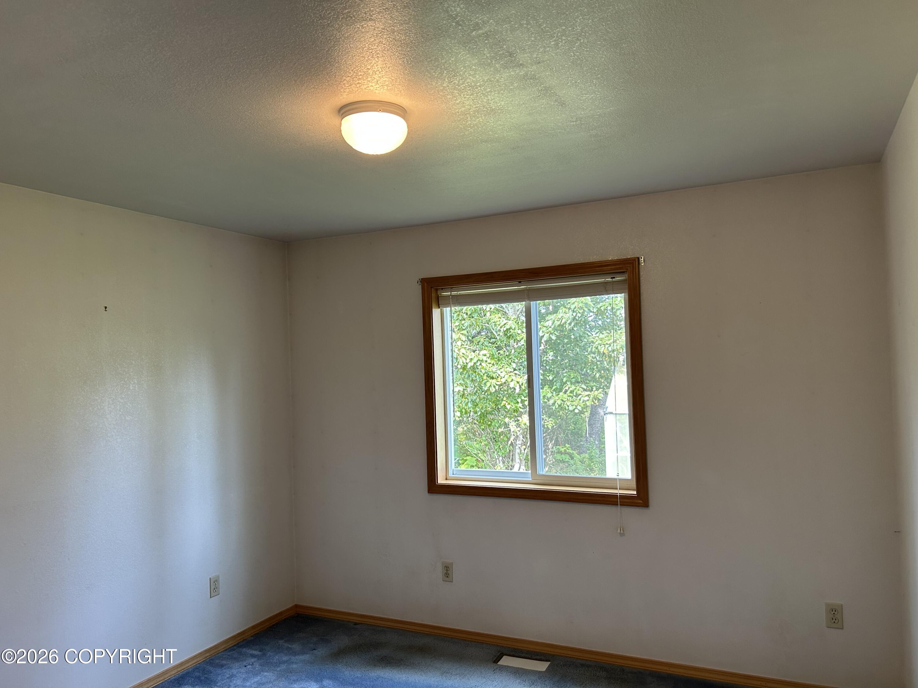 39952 Old Sterling Highway Property Photo 13