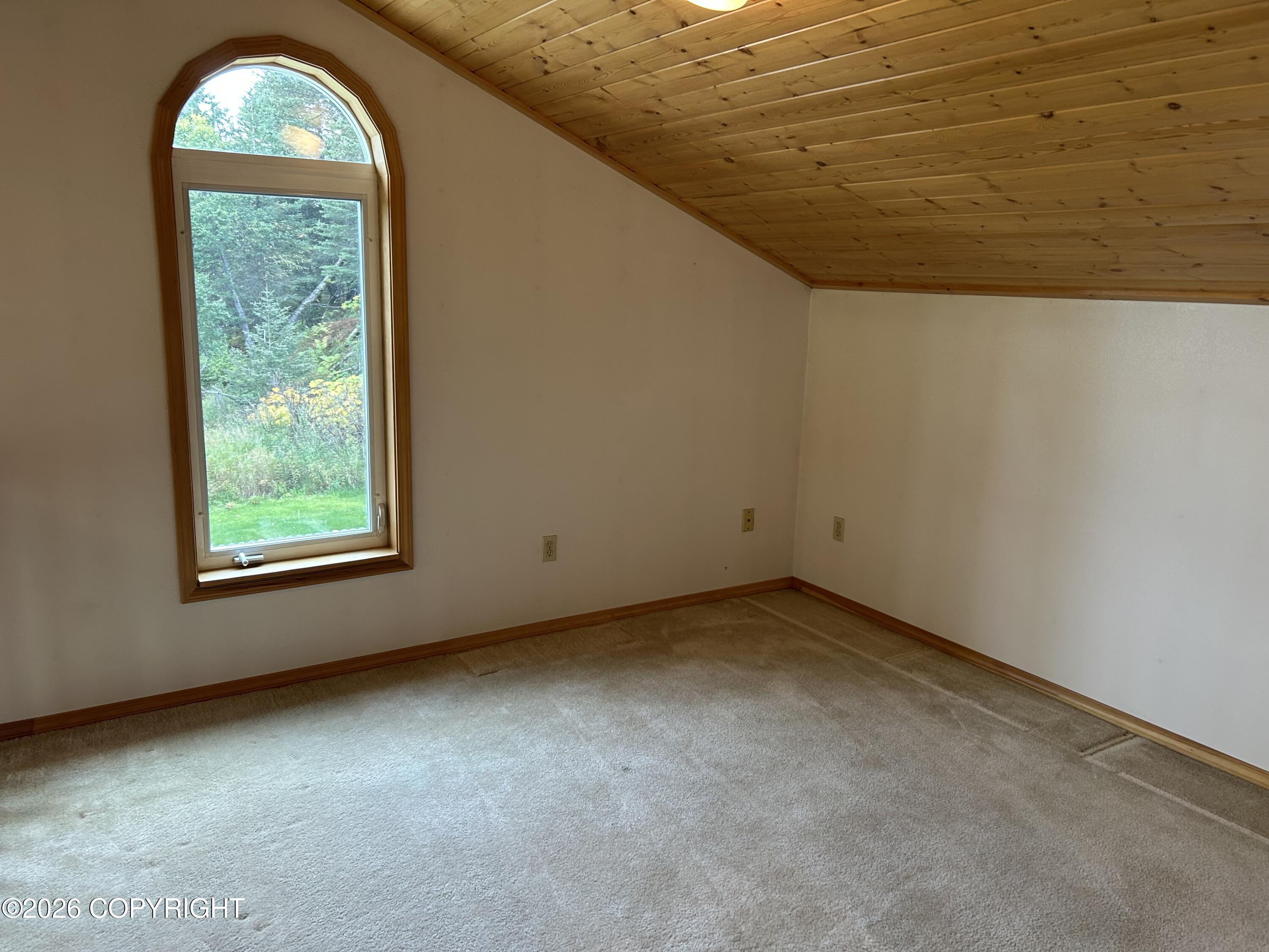 39952 Old Sterling Highway Property Photo 22
