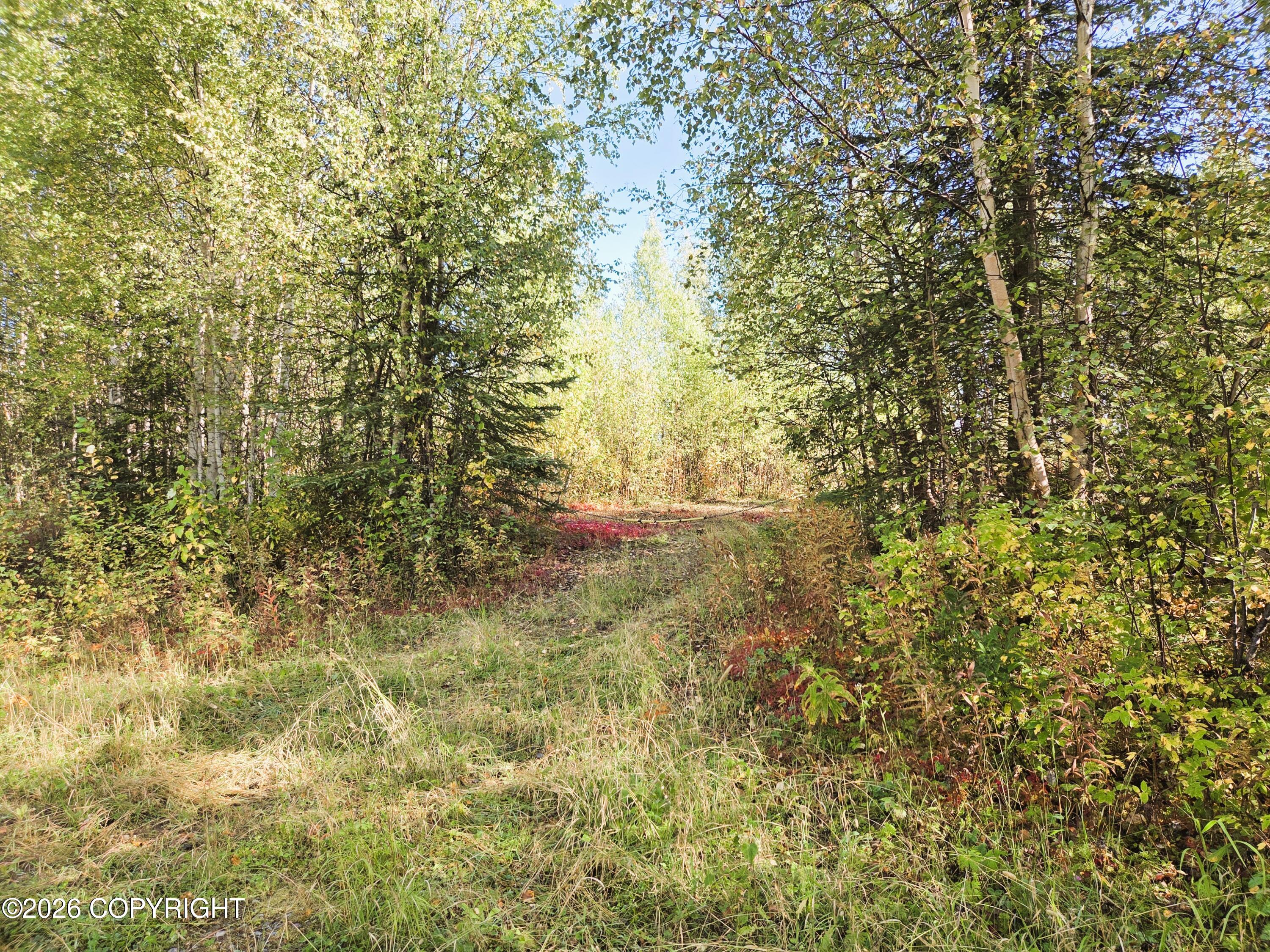 22459 S Watkins Road Property Photo 93