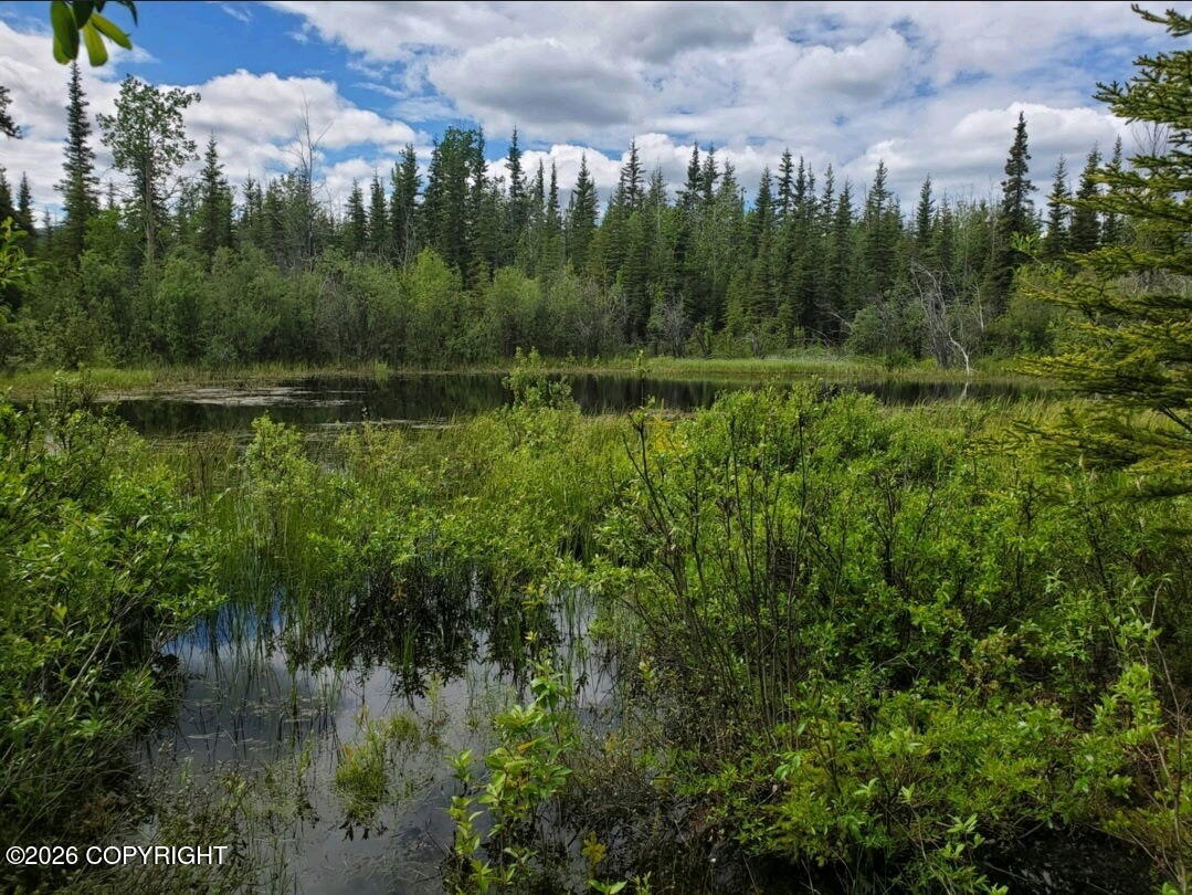 Lot 82 Willow Loop Road Property Photo 8