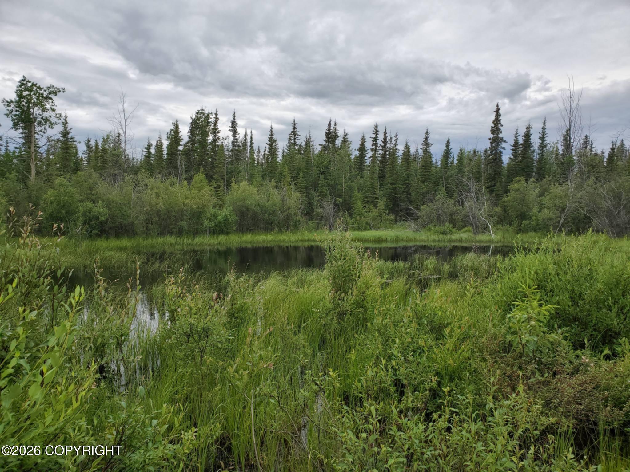 Lot 82 Willow Loop Road Property Photo 9