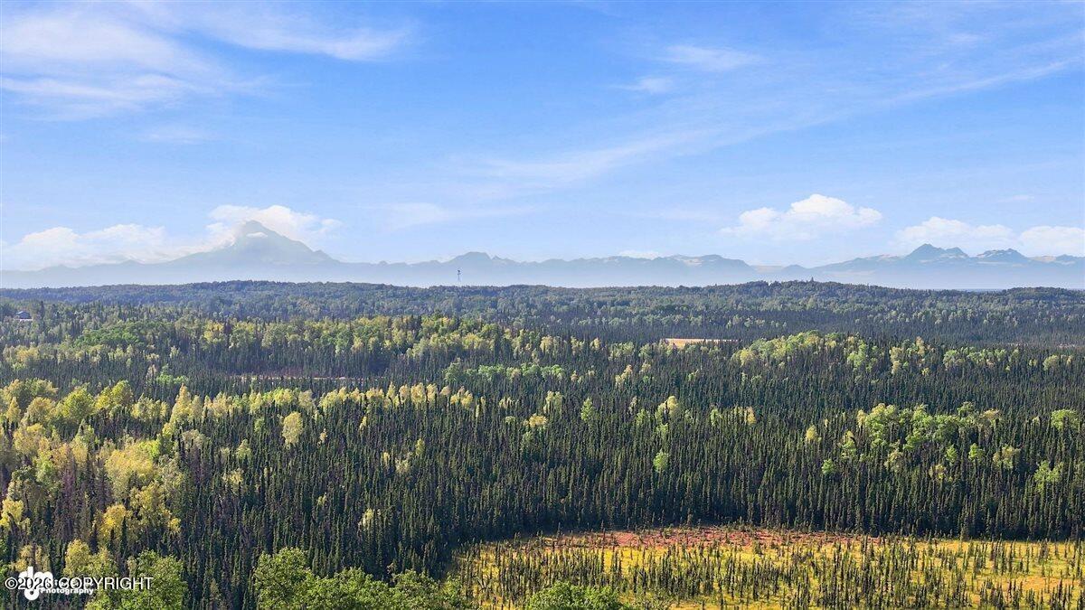 37813 Peaceful Circle Property Photo 21