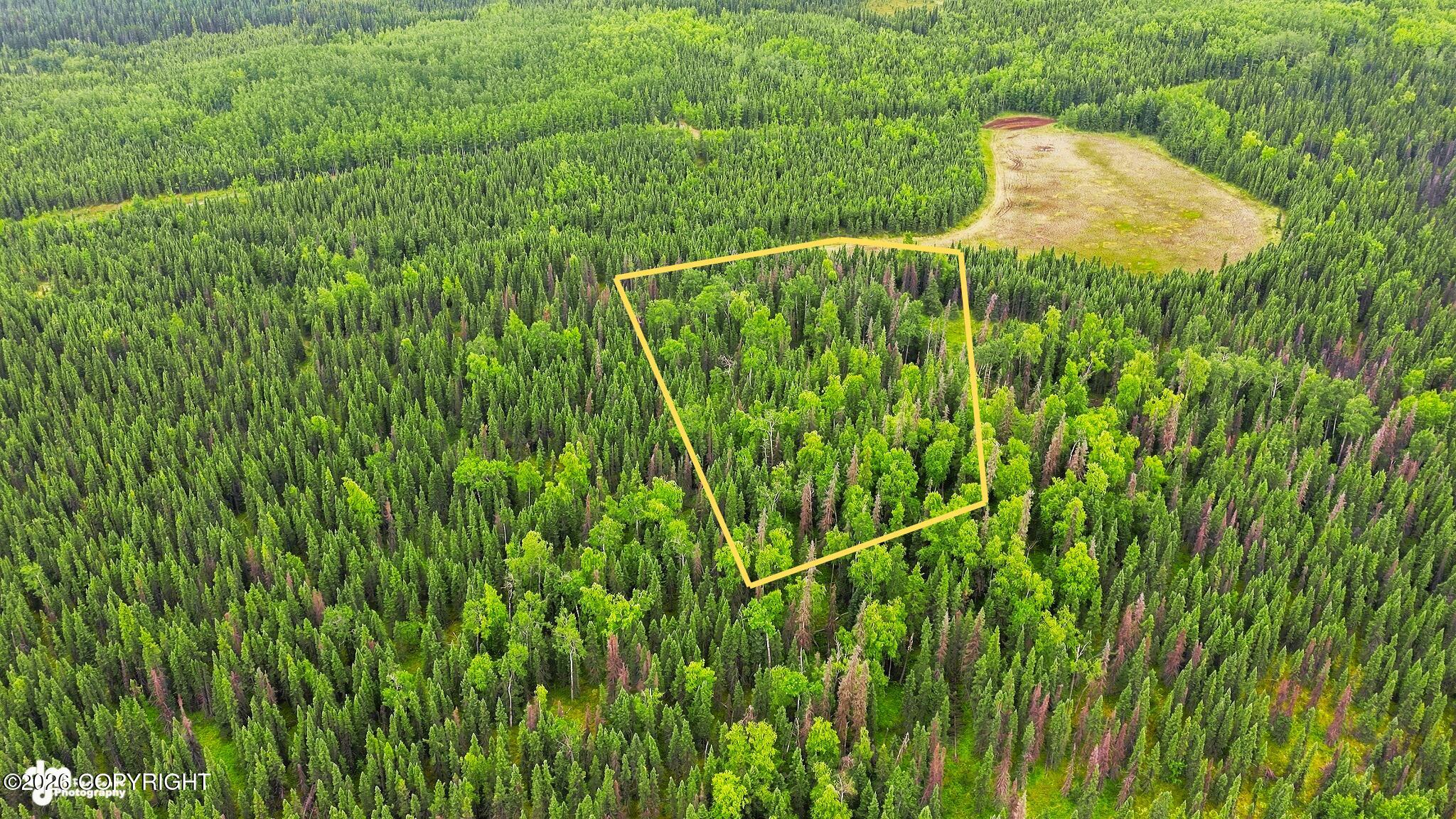 Lot 7d Browns Lake Property Photo 5