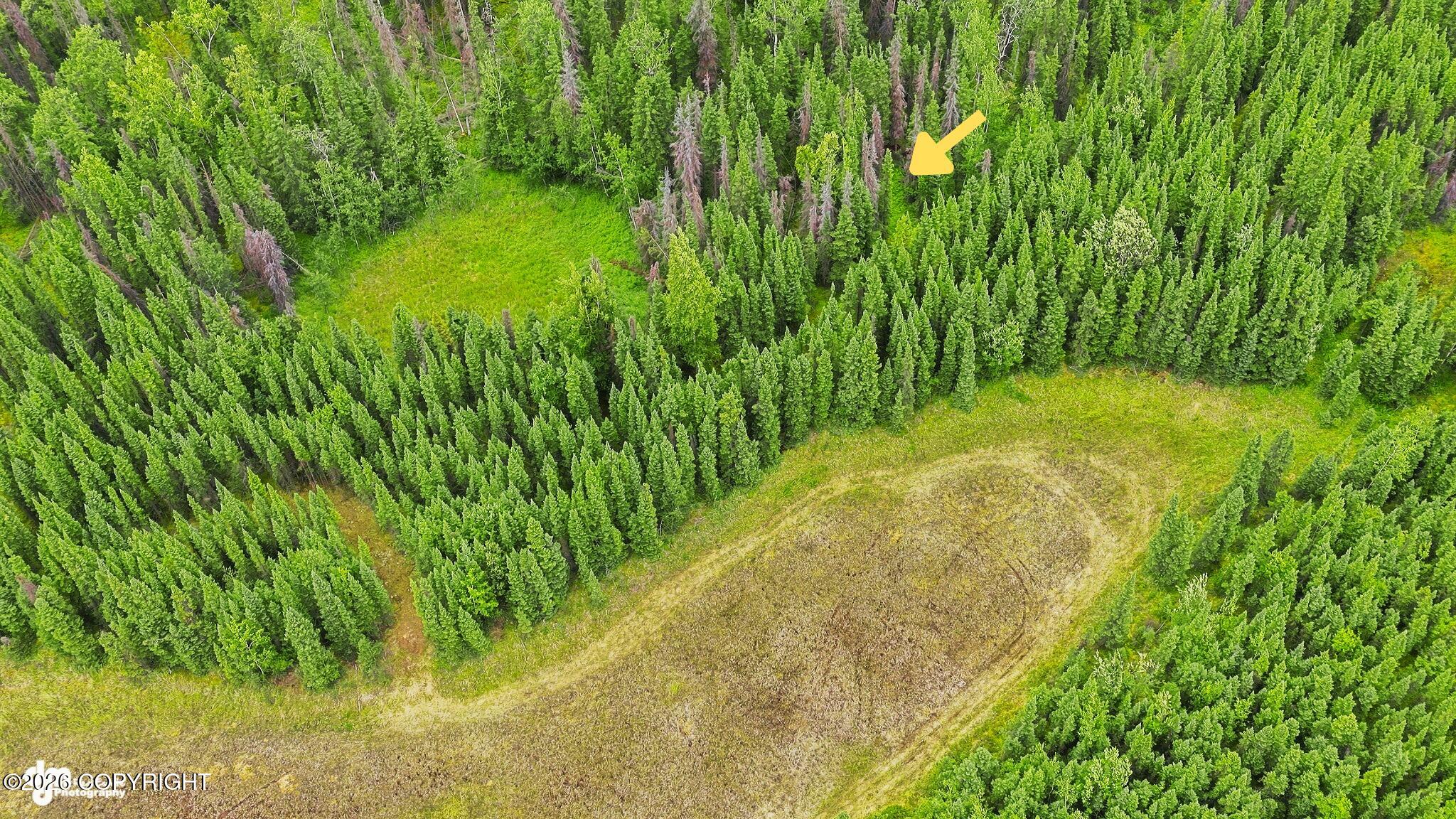 Lot 7d Browns Lake Property Photo 8
