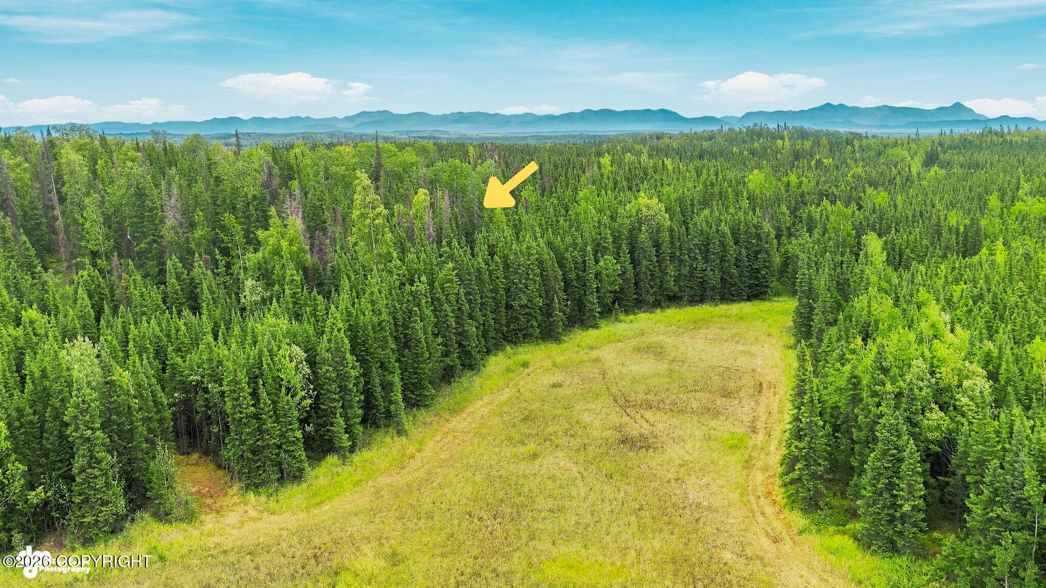 Lot 7d Browns Lake Property Photo 10