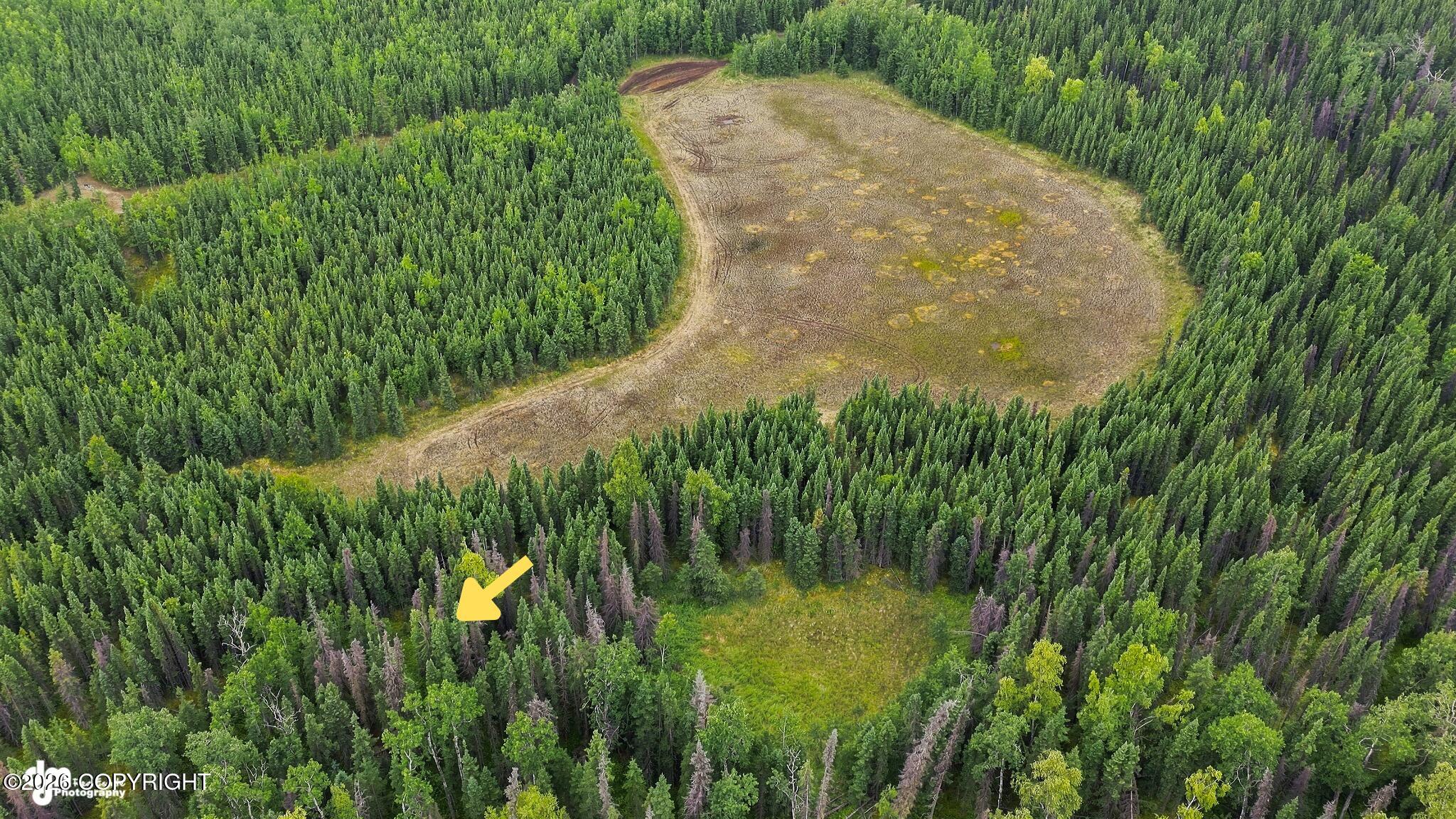 Lot 7d Browns Lake Property Photo 11