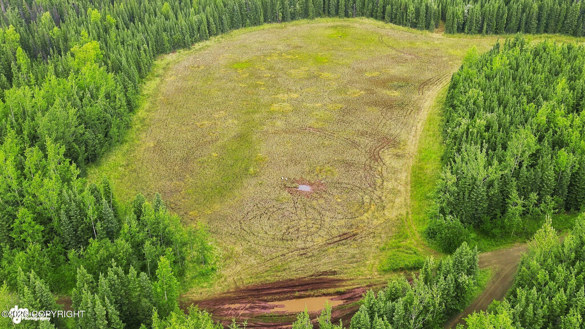 Lot 7d Browns Lake Property Photo 12