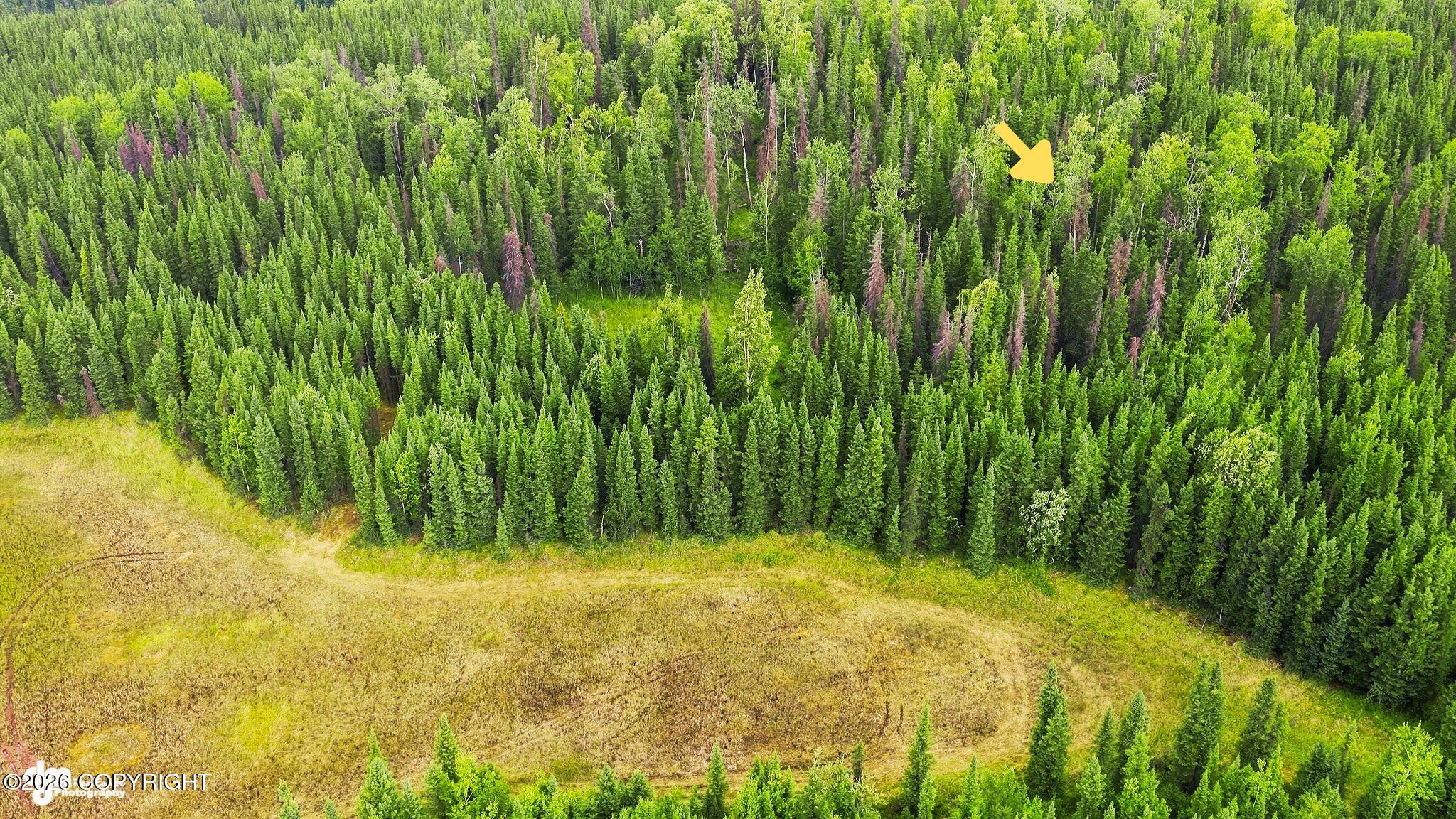 Lot 7d Browns Lake Property Photo 18