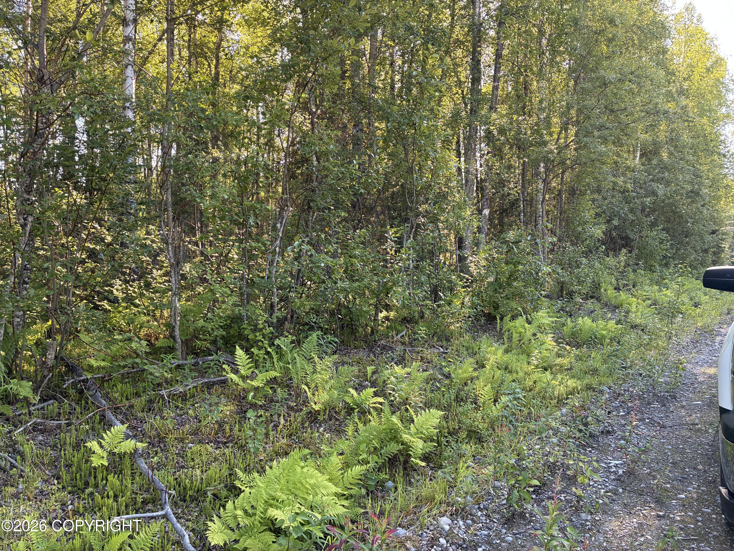 49145 S Denali View Drive Property Photo 2