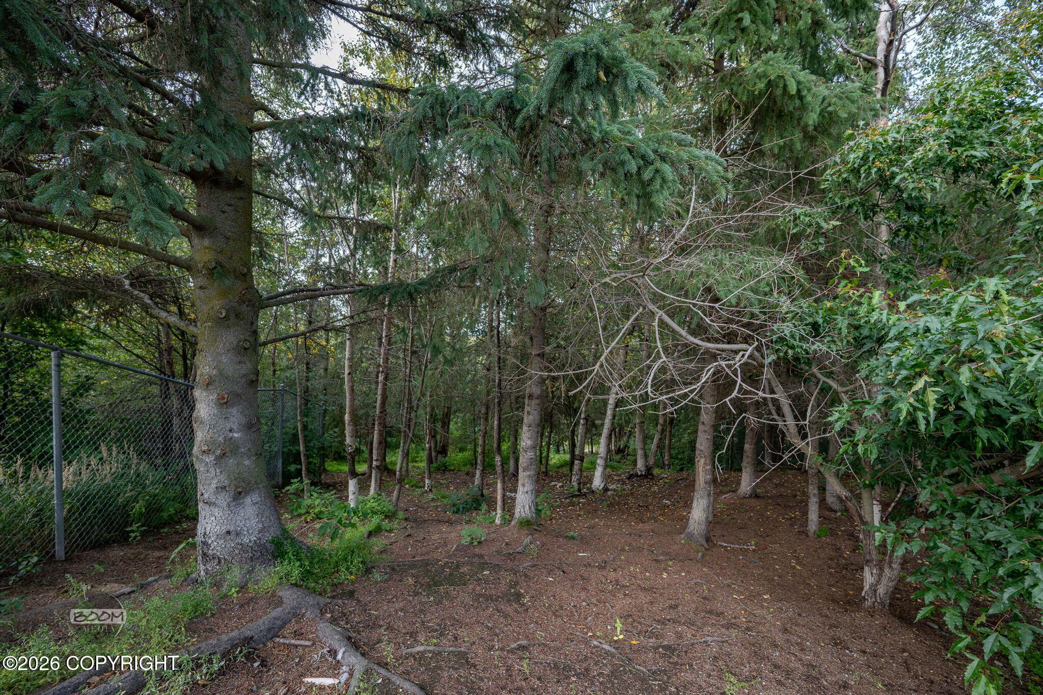 12201 Skyway Drive Property Photo 7