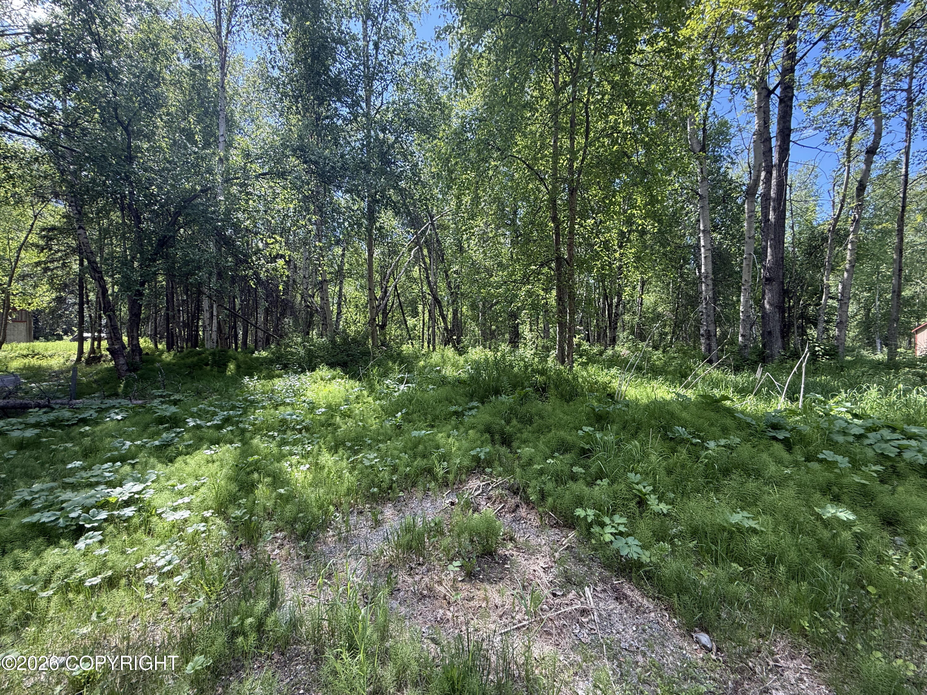 8054 S Bending Birch Circle Property Photo 2