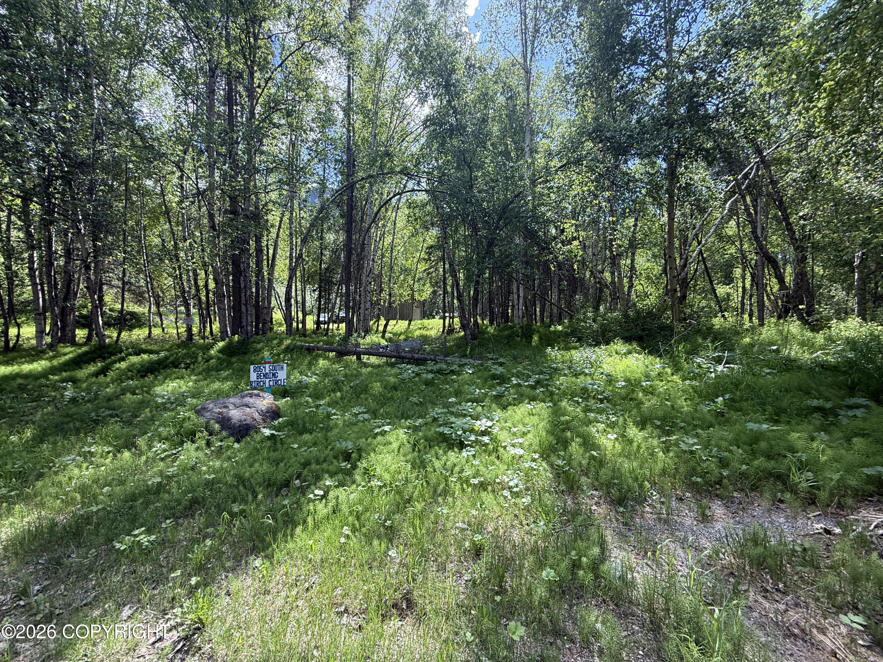 8054 S Bending Birch Circle Property Photo 3