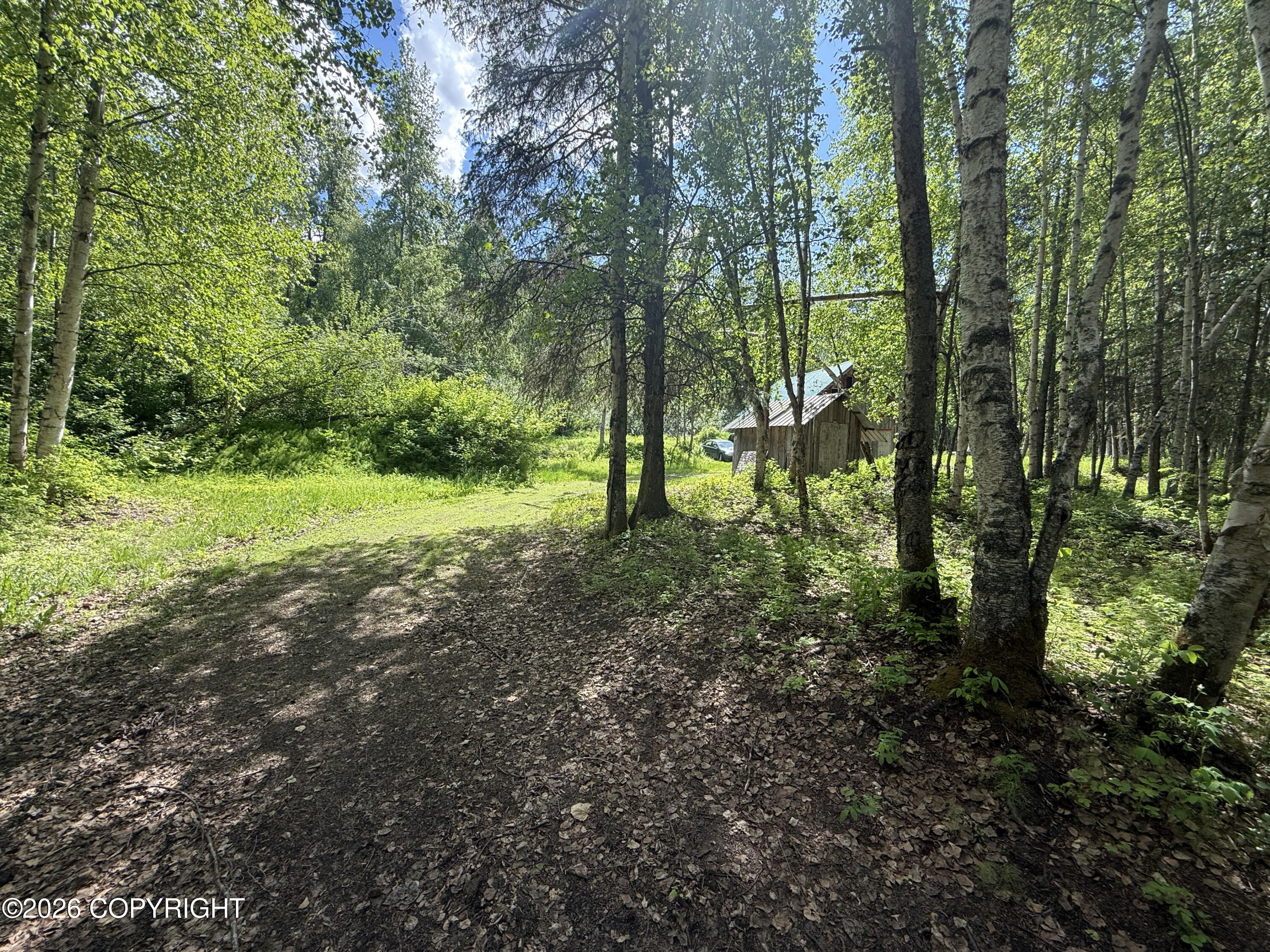 8054 S Bending Birch Circle Property Photo 5