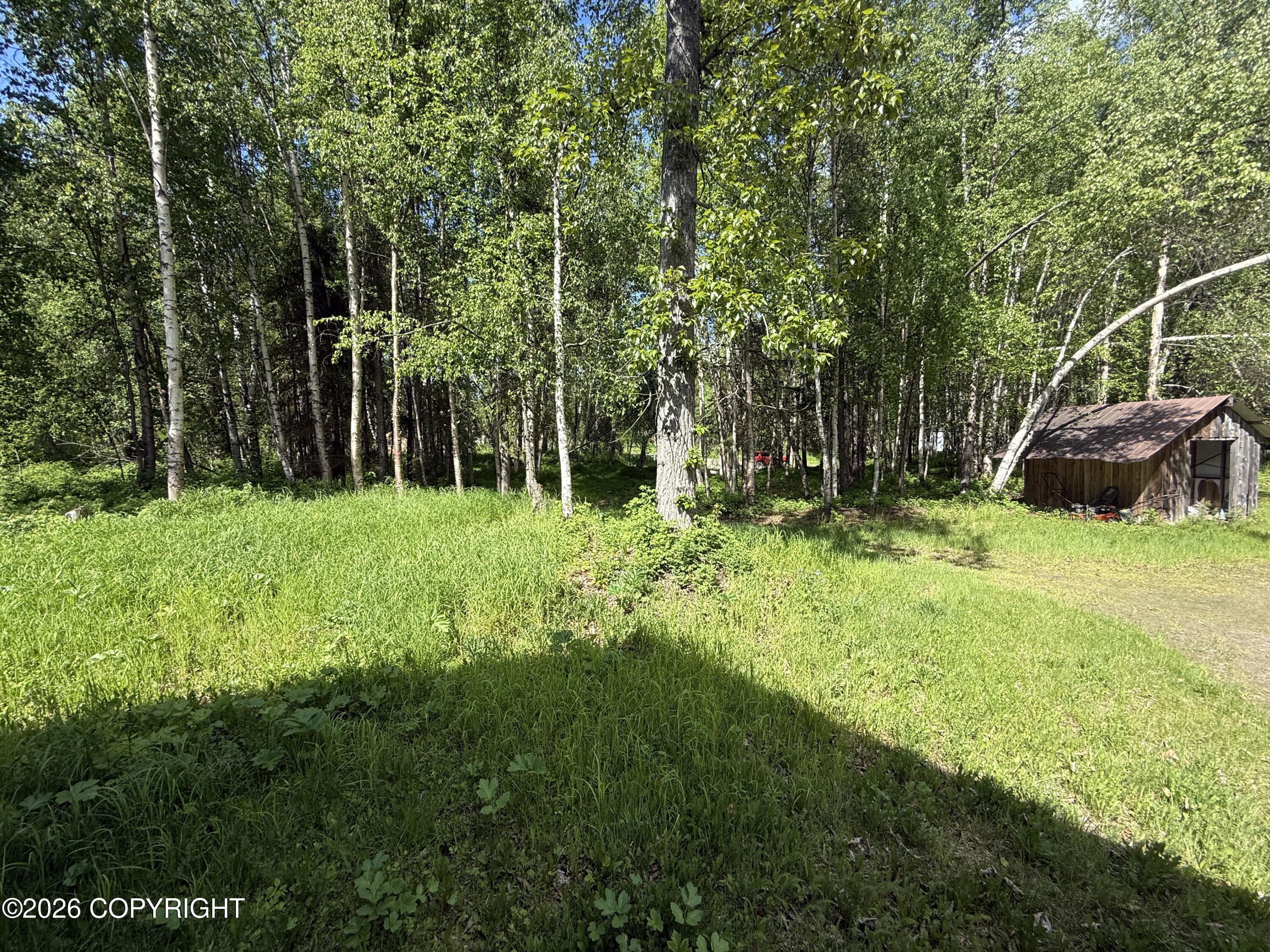 8054 S Bending Birch Circle Property Photo 8