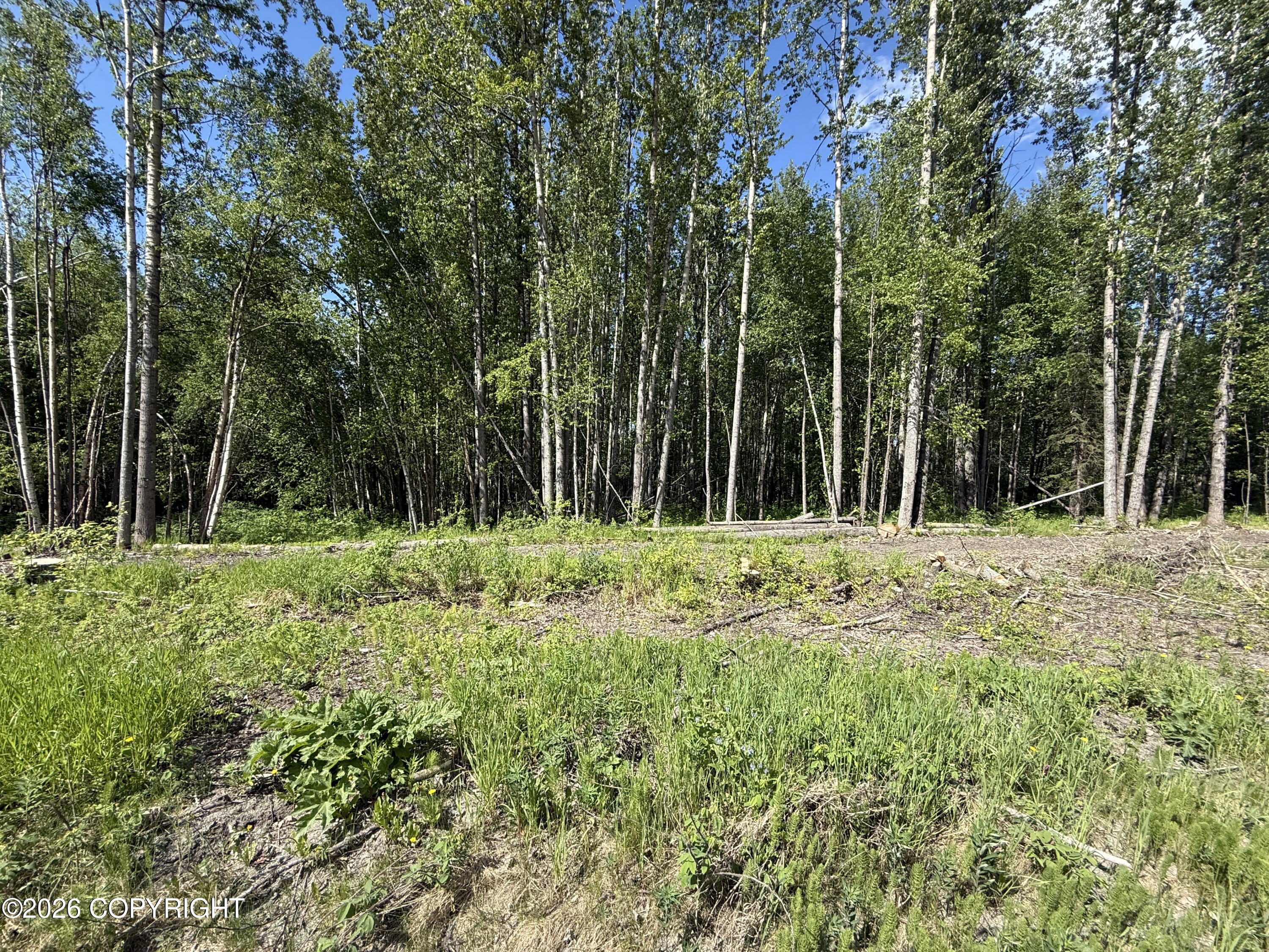 8054 S Bending Birch Circle Property Photo 20