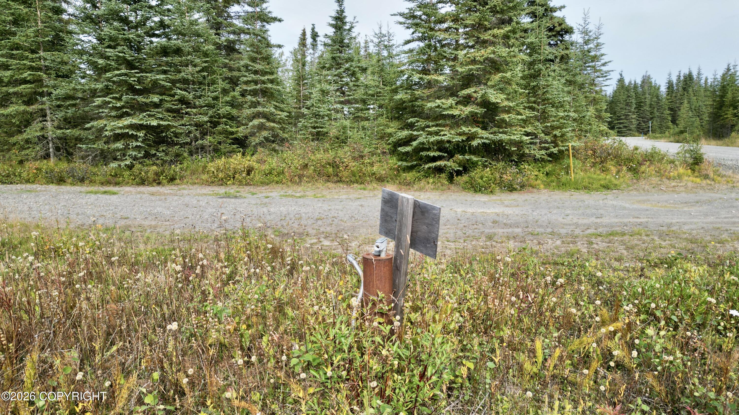 33805 Goodrich Street Property Photo 4
