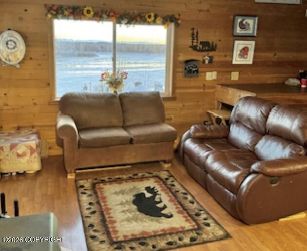 Mile 23 Yentna River Property Photo 11