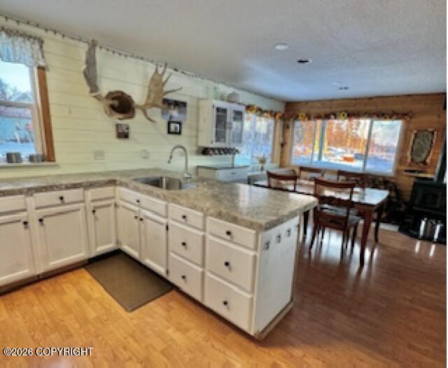 Mile 23 Yentna River Property Photo 18