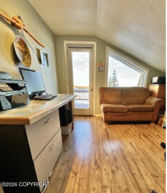 Mile 23 Yentna River Property Photo 27