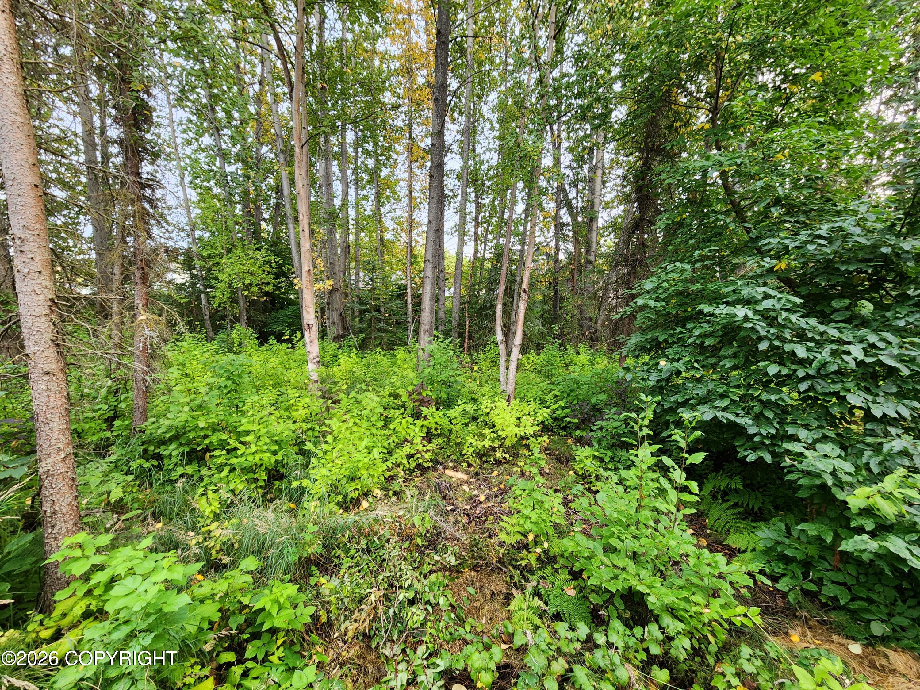6544 Desiree Loop Property Photo 64