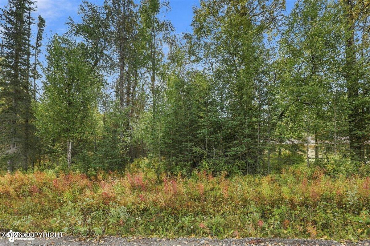 53235 Bell Avenue Property Photo 35