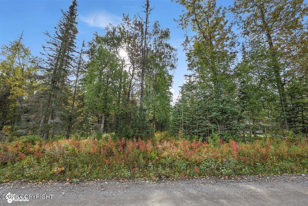 53235 Bell Avenue Property Photo 36