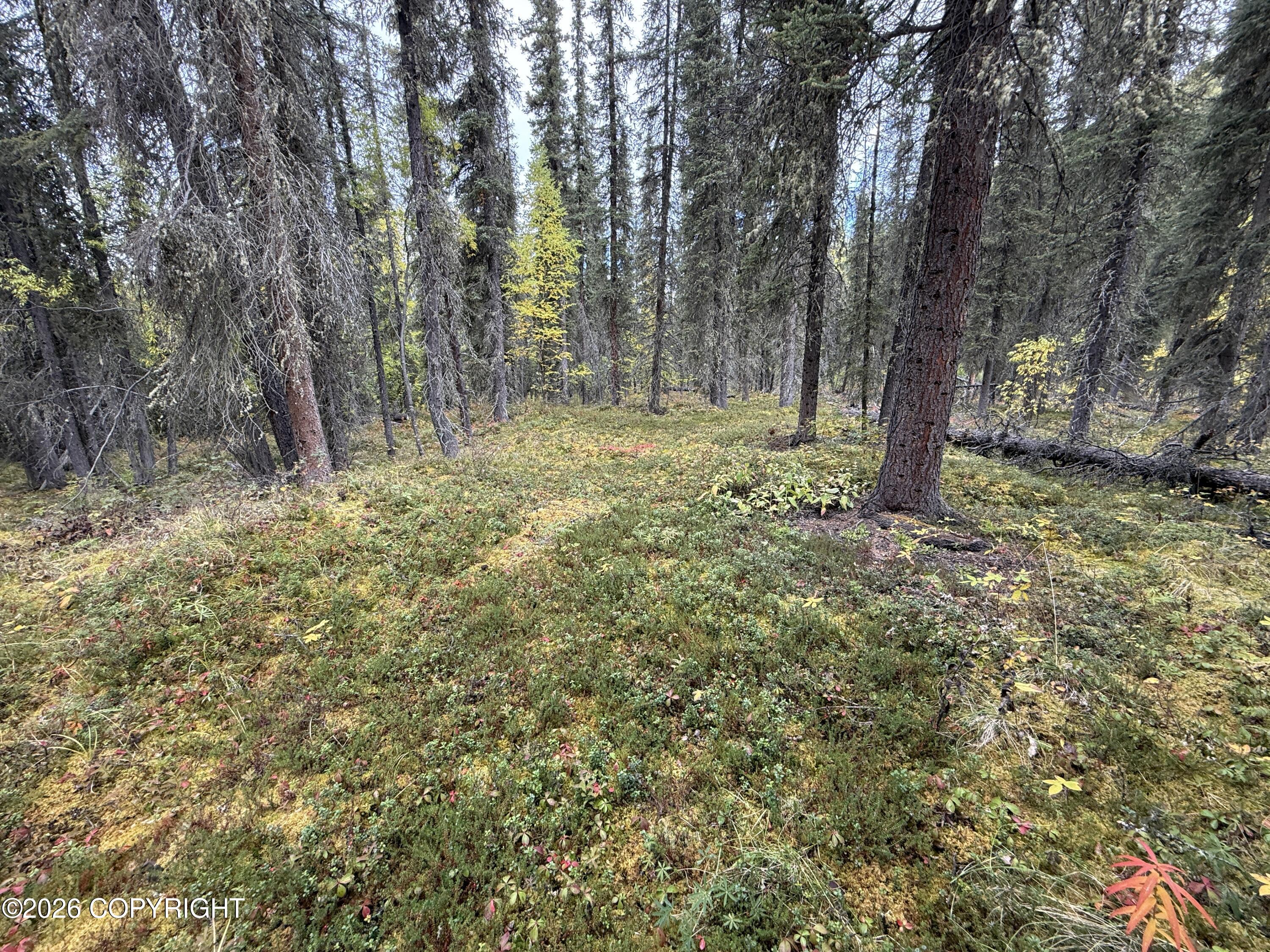 0341 Plus Trail Only Suslositna Creek Trail Property Photo 8