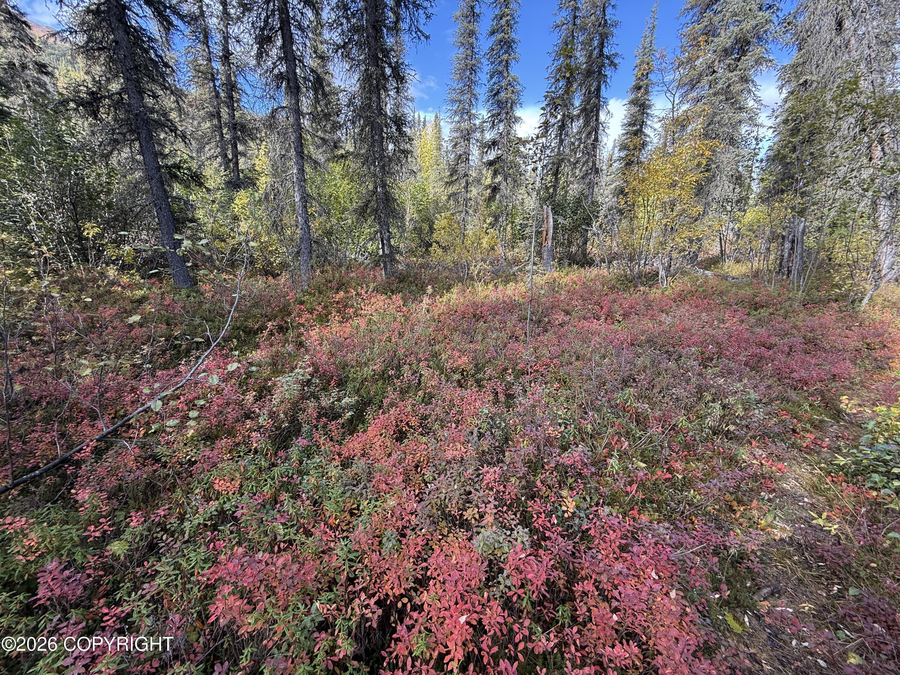0341 Plus Trail Only Suslositna Creek Trail Property Photo 30
