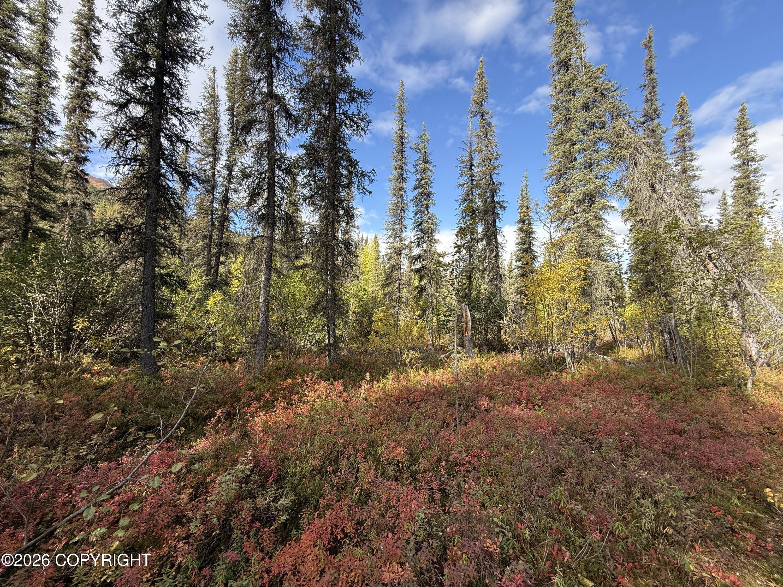 0341 Plus Trail Only Suslositna Creek Trail Property Photo 31