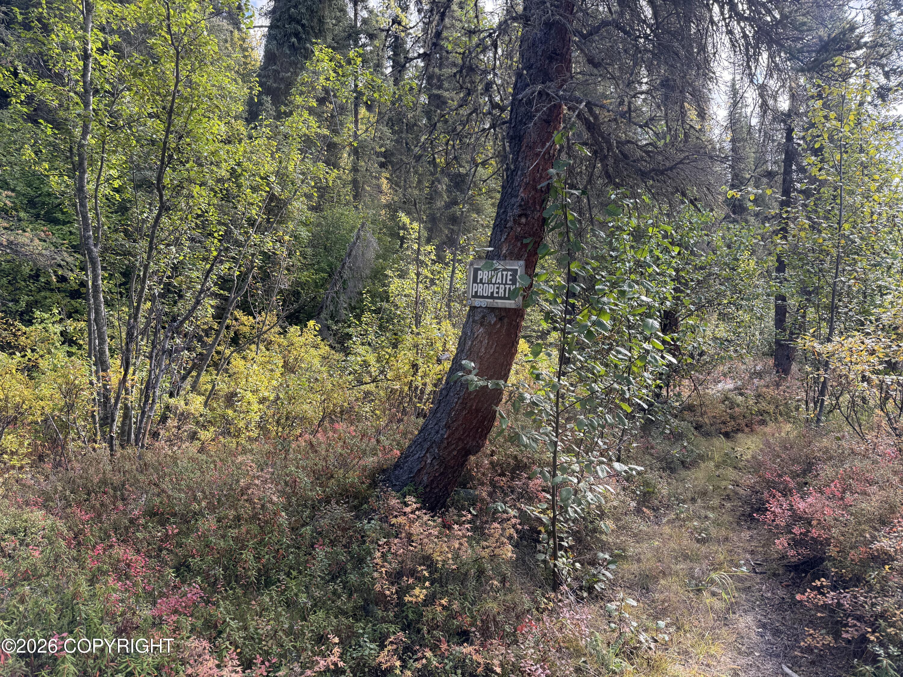 0341 Plus Trail Only Suslositna Creek Trail Property Photo 32