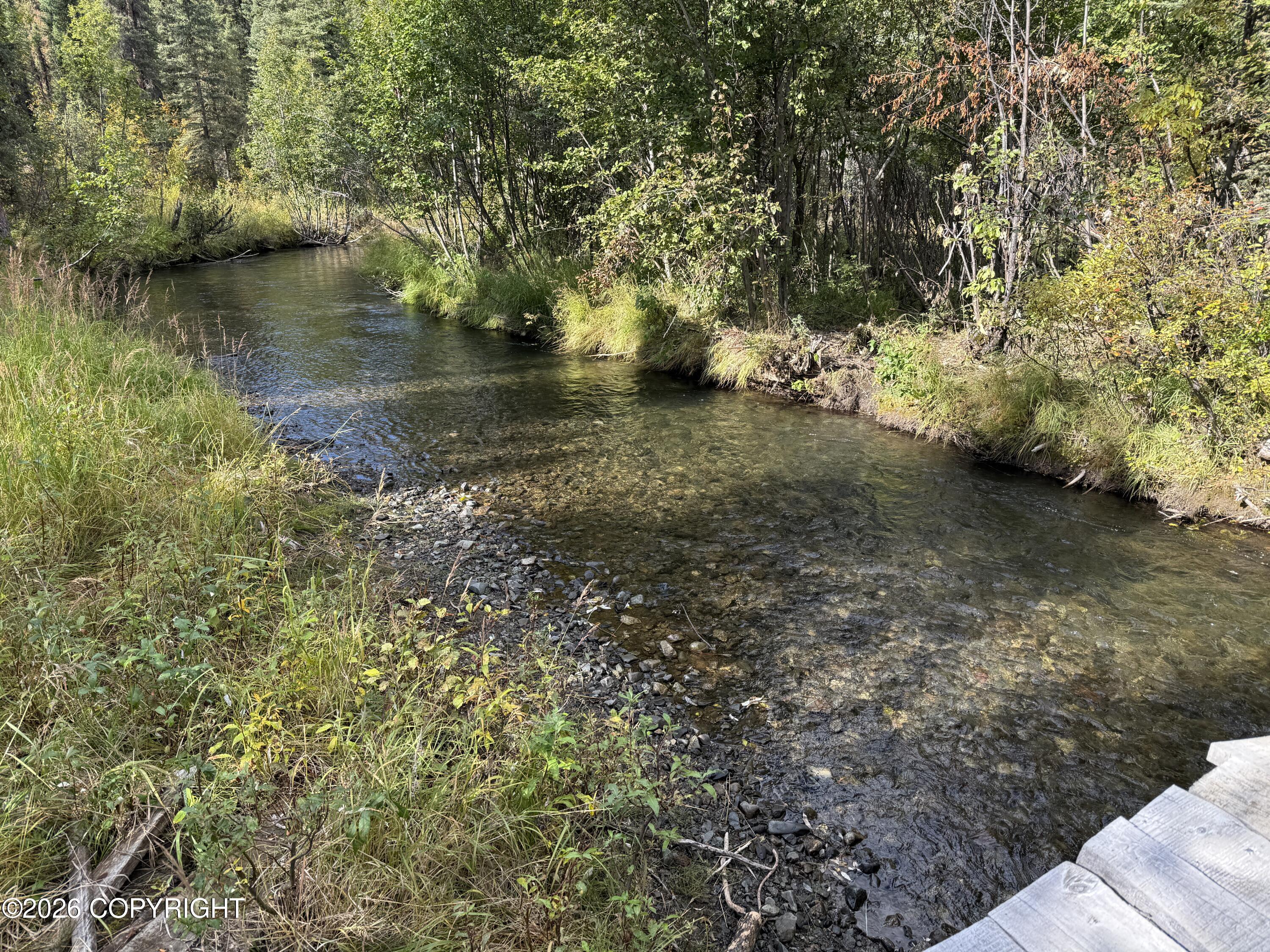 0341 Plus Trail Only Suslositna Creek Trail Property Photo 33