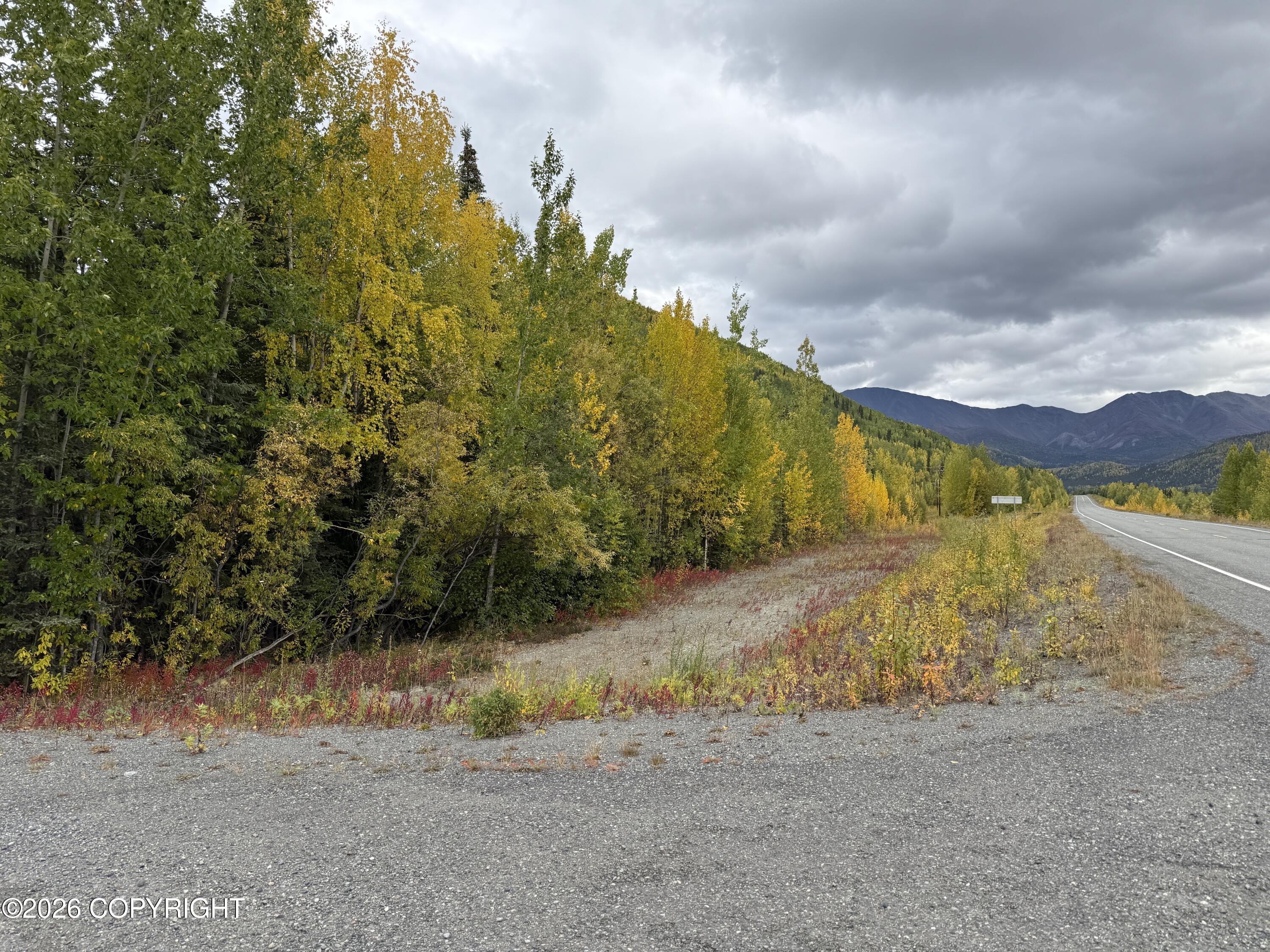 0341 Plus Trail Only Suslositna Creek Trail Property Photo 34