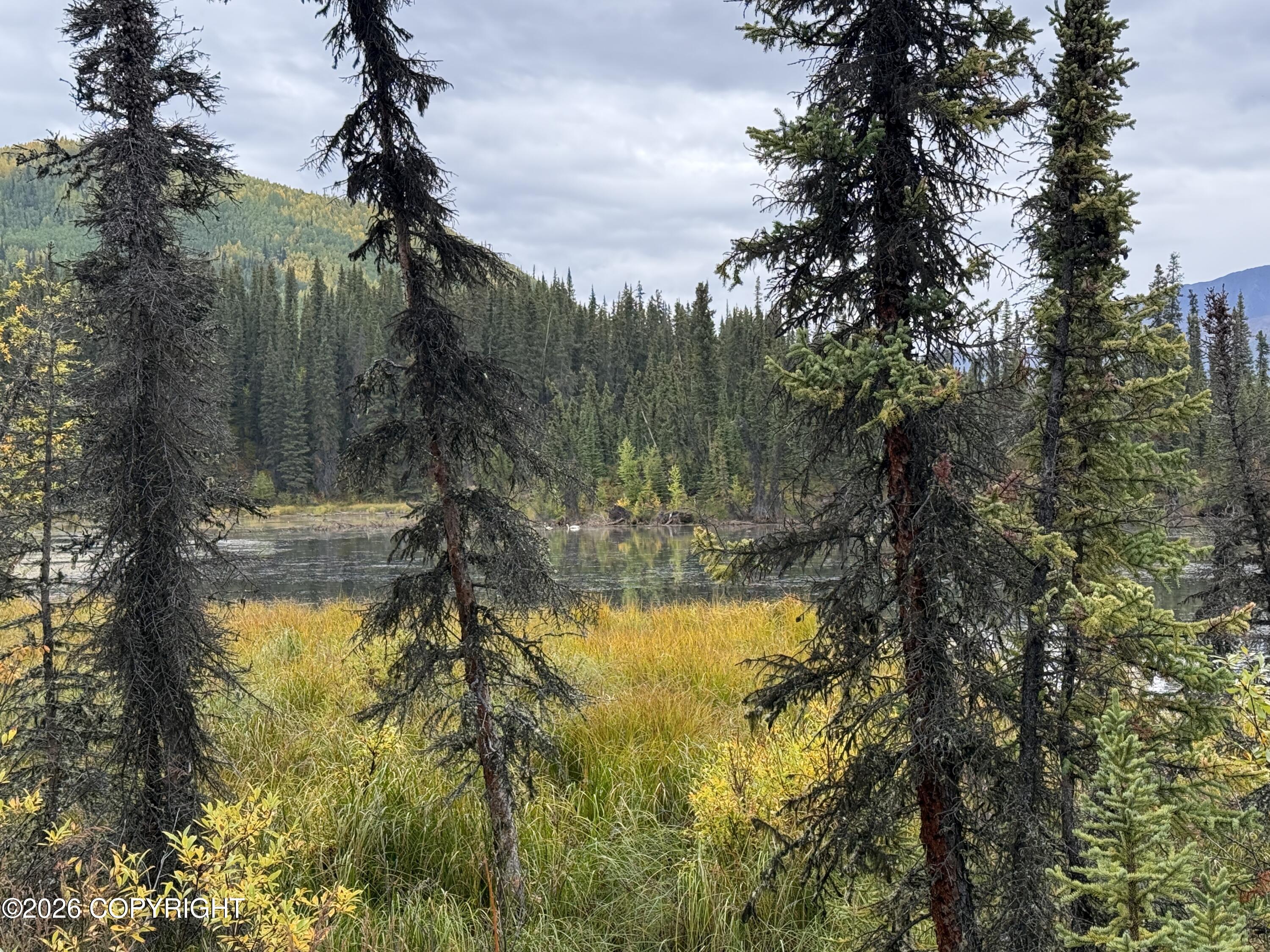 0341 Plus Trail Only Suslositna Creek Trail Property Photo 40
