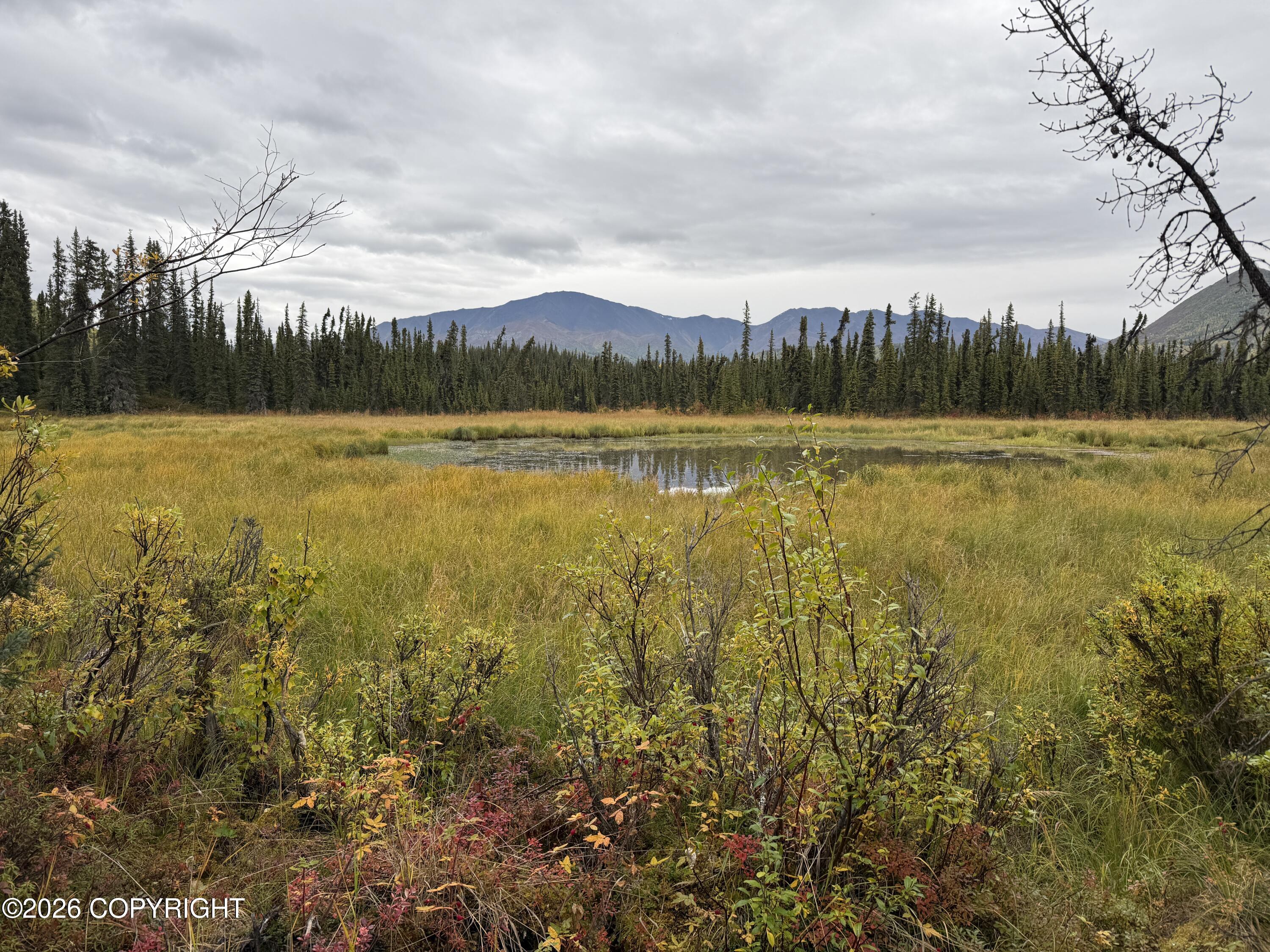 0341 Plus Trail Only Suslositna Creek Trail Property Photo 41