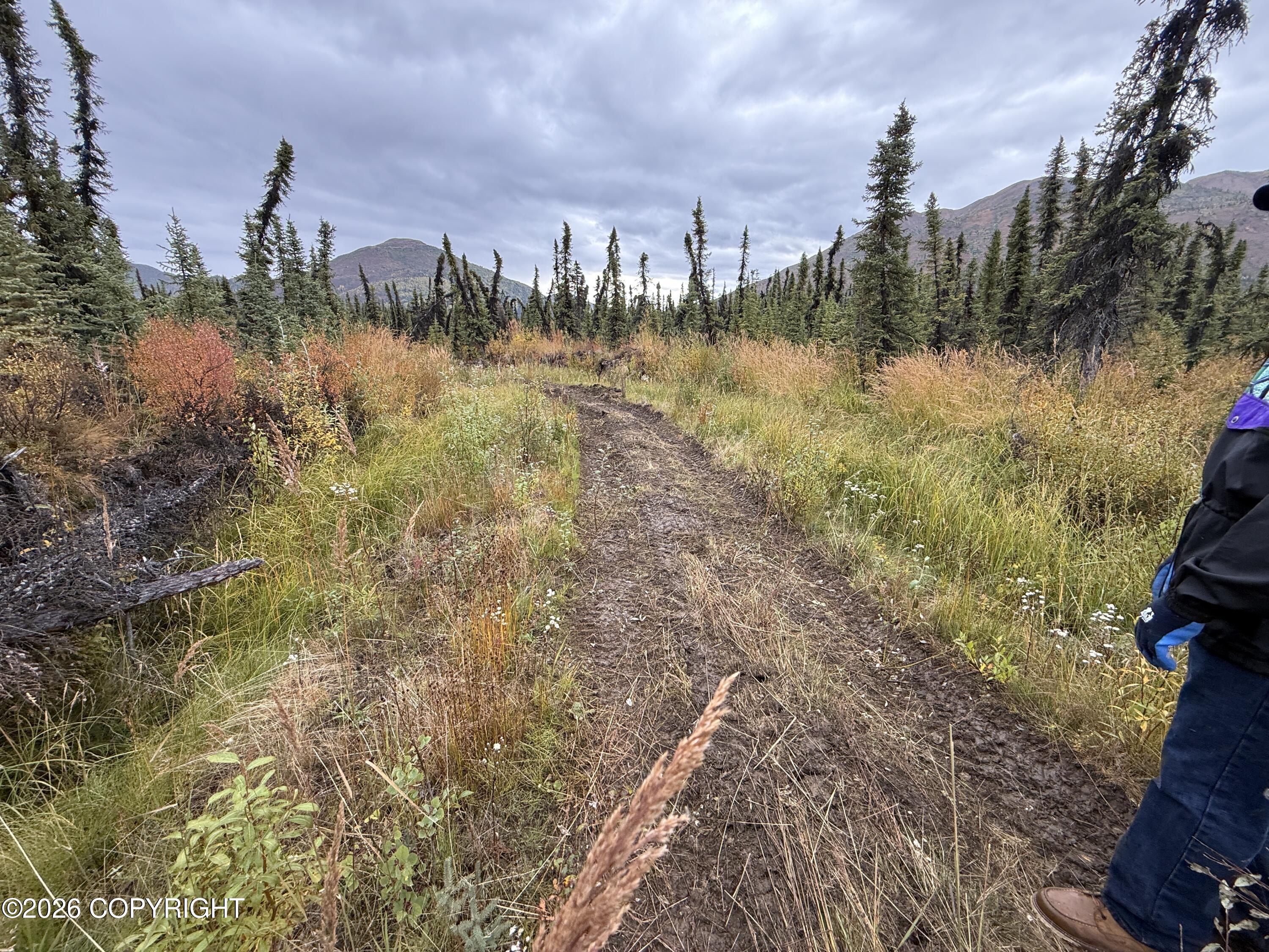 0341 Plus Trail Only Suslositna Creek Trail Property Photo 42