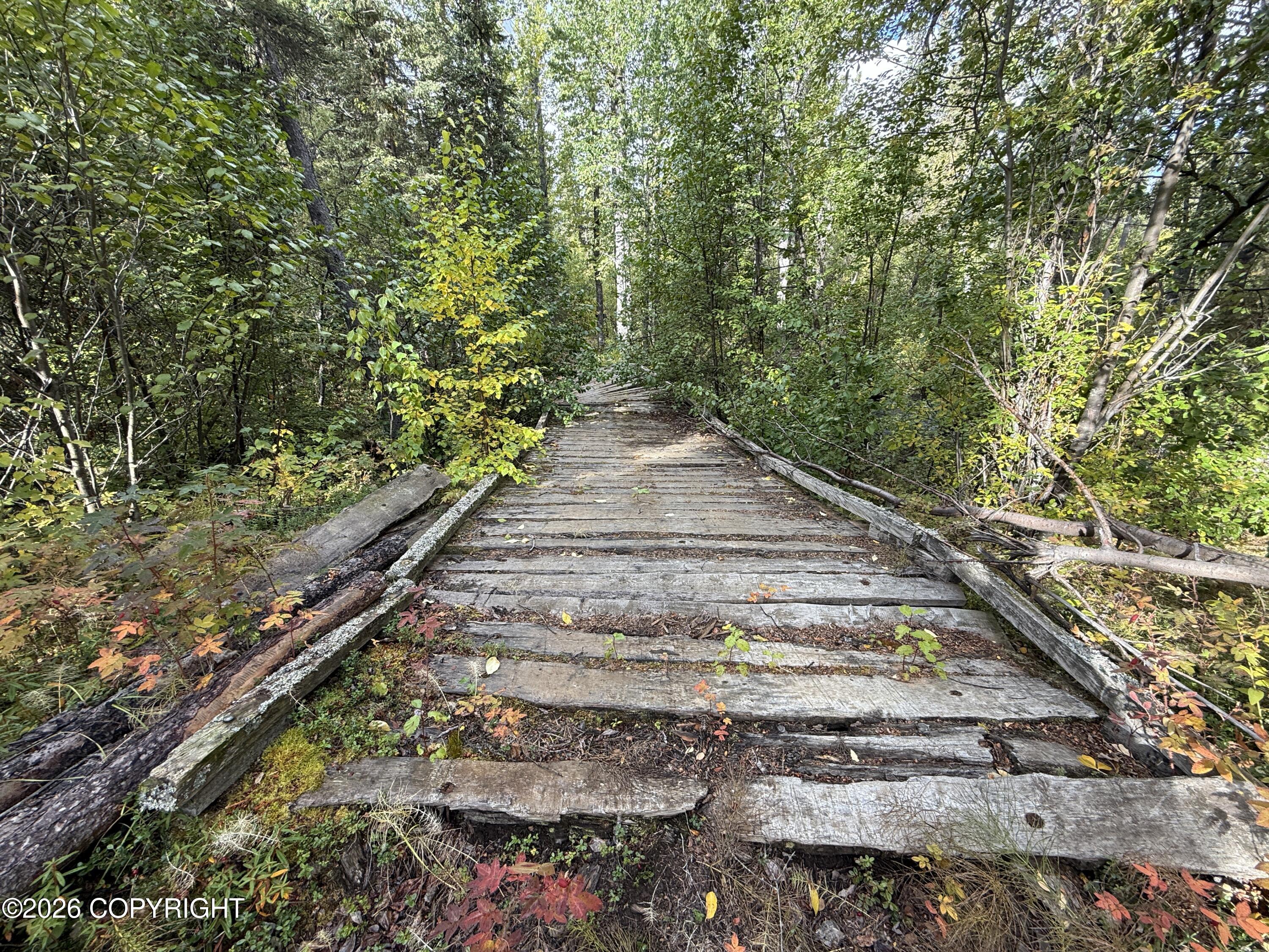 0341 Plus Trail Only Suslositna Creek Trail Property Photo 44