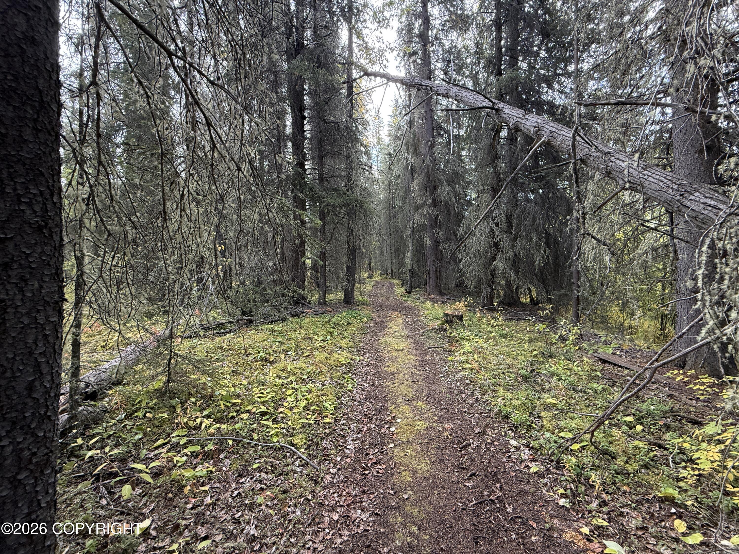 0341 Plus Trail Only Suslositna Creek Trail Property Photo 45