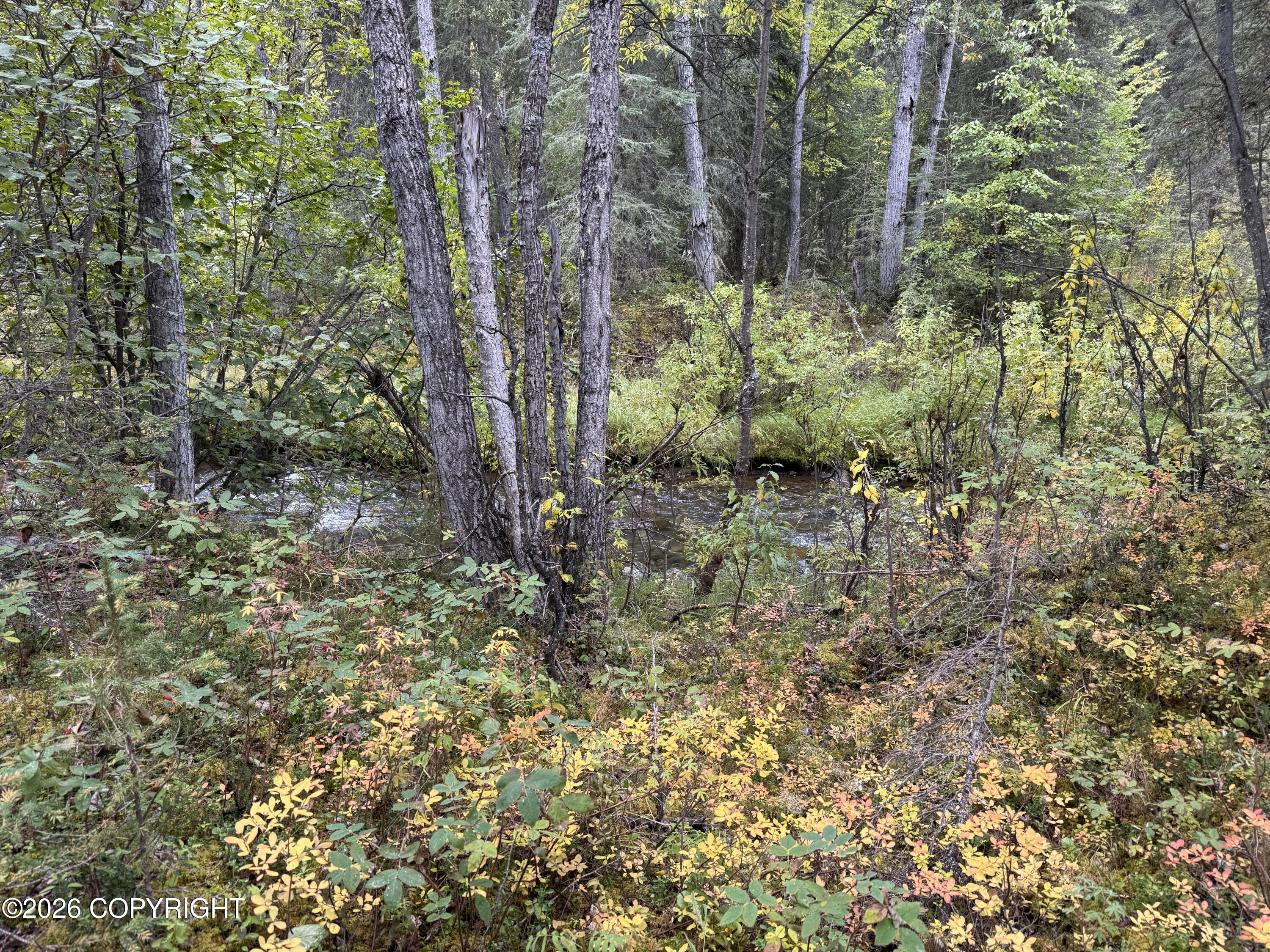 0341 Plus Trail Only Suslositna Creek Trail Property Photo 46