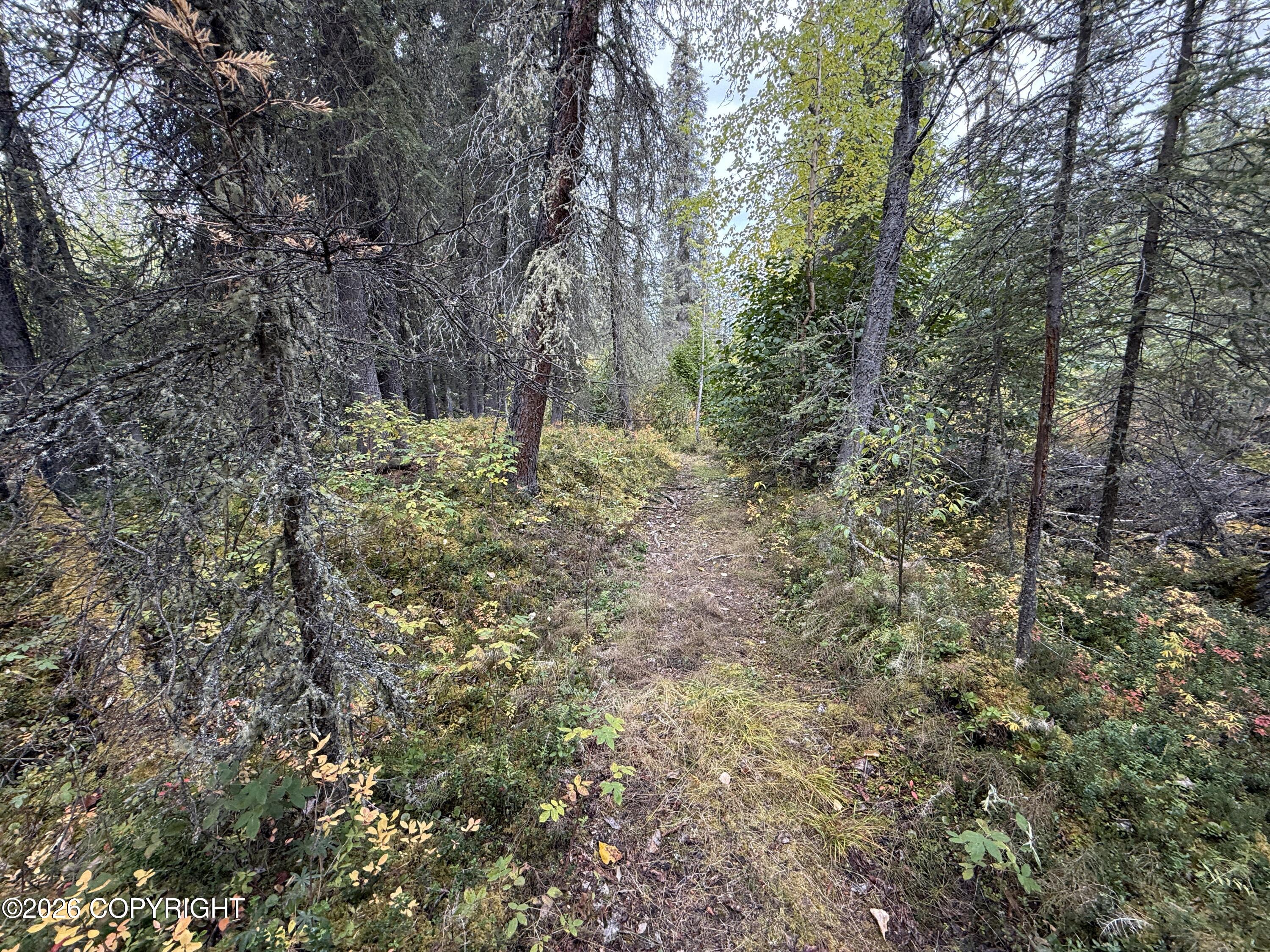 0341 Plus Trail Only Suslositna Creek Trail Property Photo 47