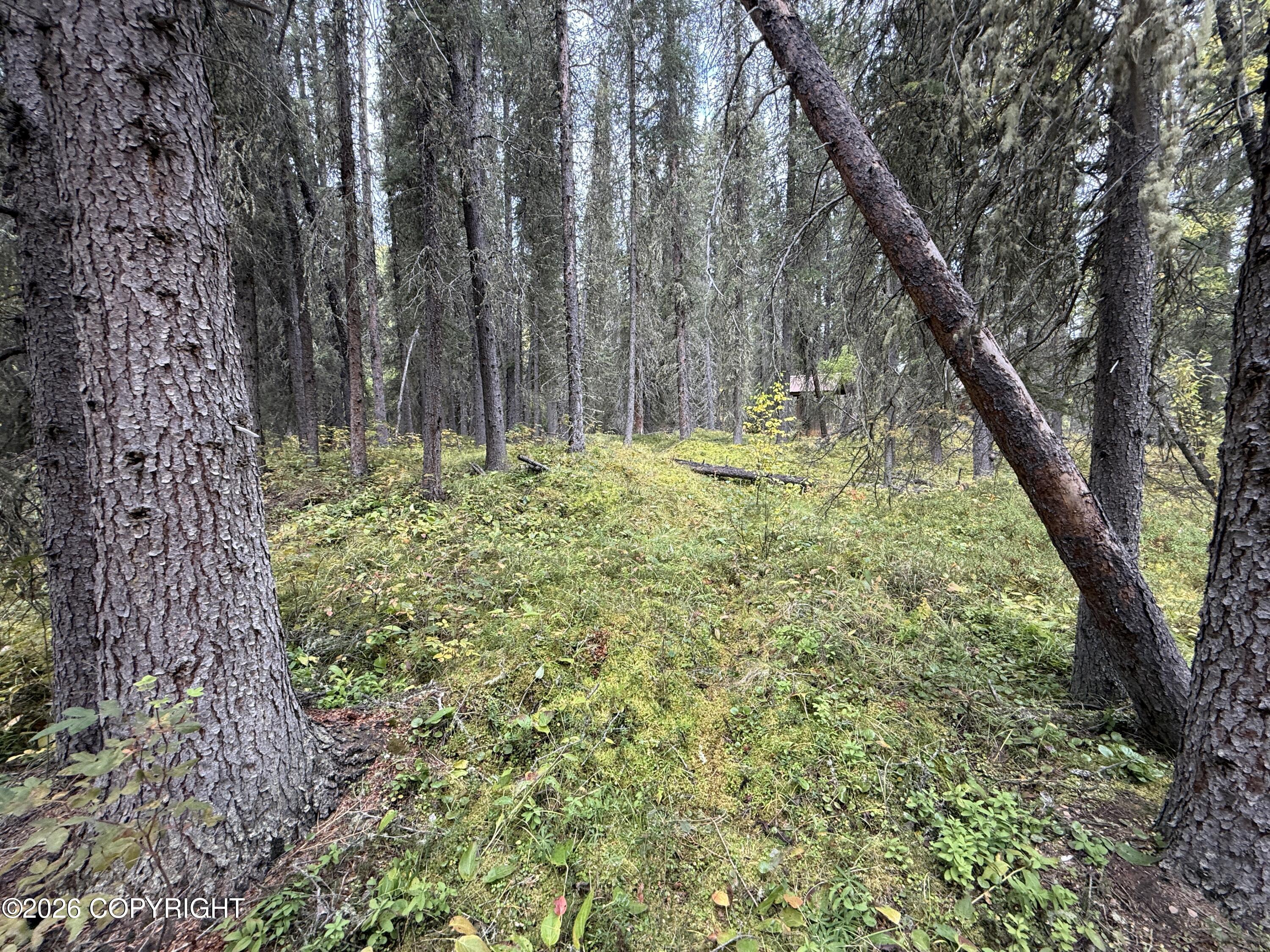 0341 Plus Trail Only Suslositna Creek Trail Property Photo 56
