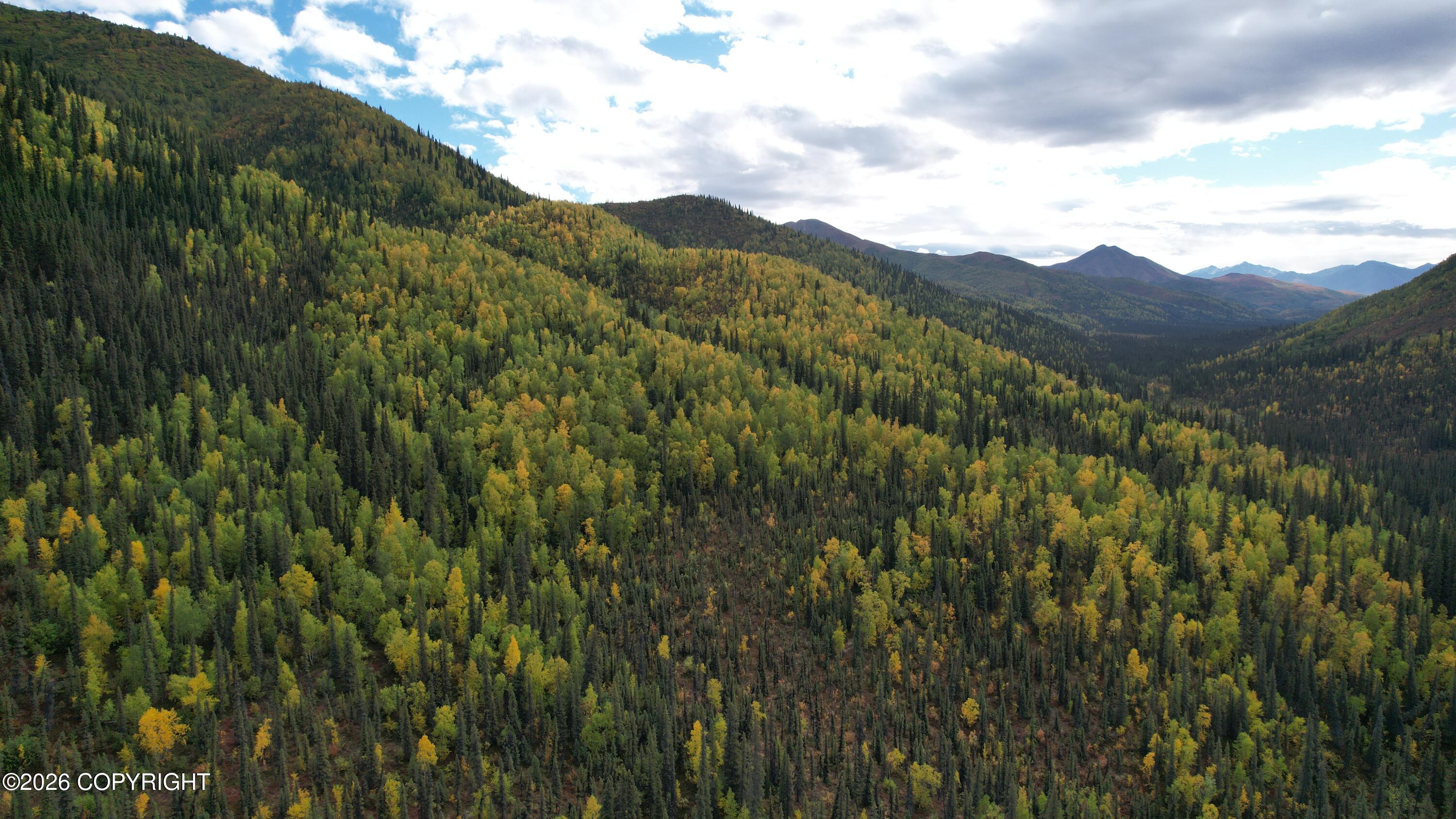 0341 Plus Trail Only Suslositna Creek Trail Property Photo 58