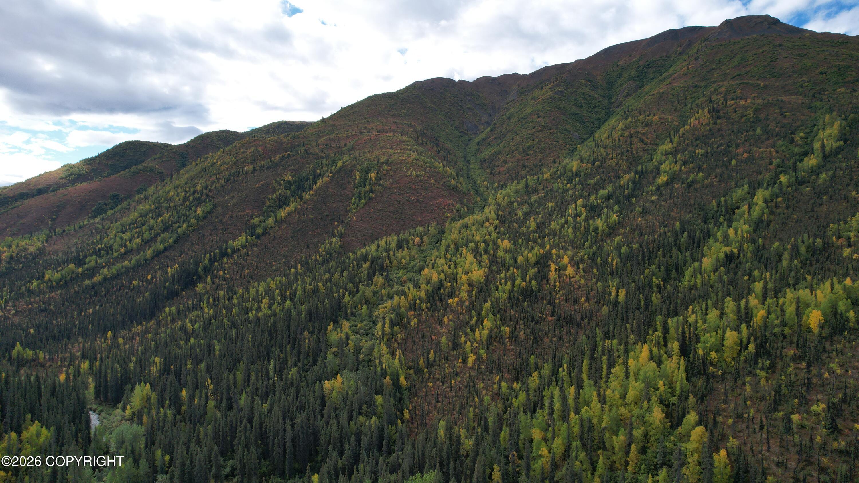 0341 Plus Trail Only Suslositna Creek Trail Property Photo 63