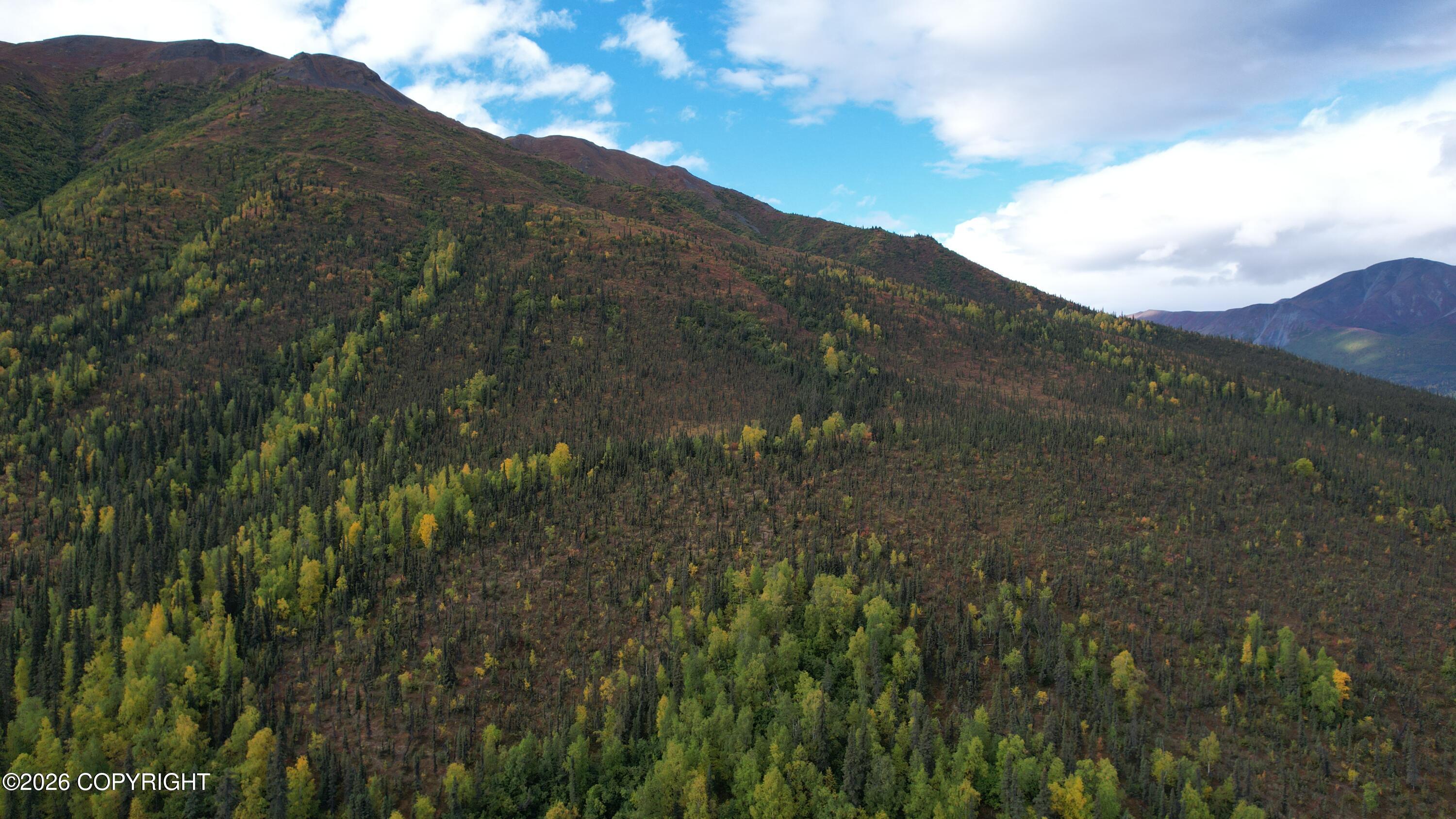 0341 Plus Trail Only Suslositna Creek Trail Property Photo 65