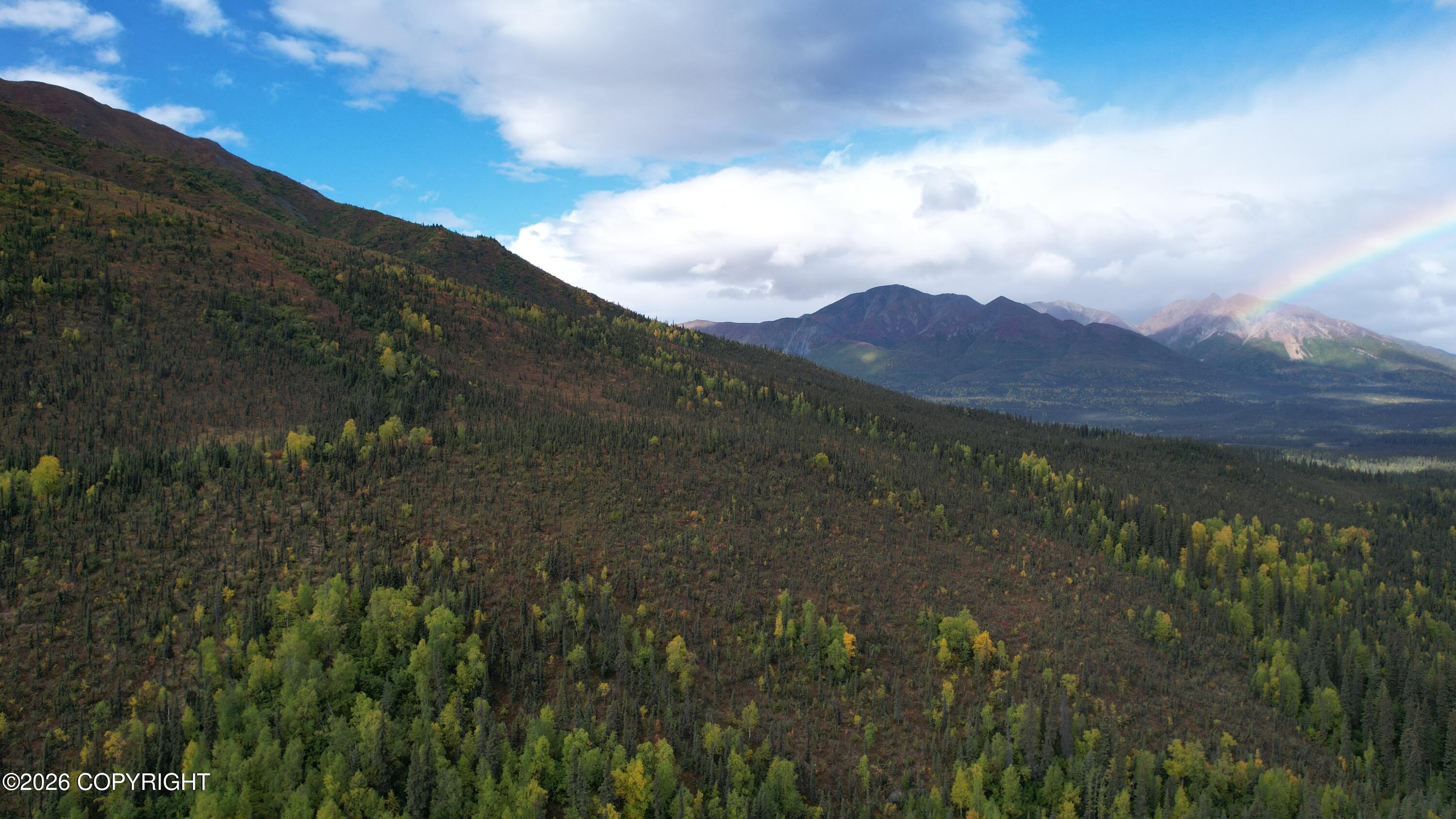 0341 Plus Trail Only Suslositna Creek Trail Property Photo 66