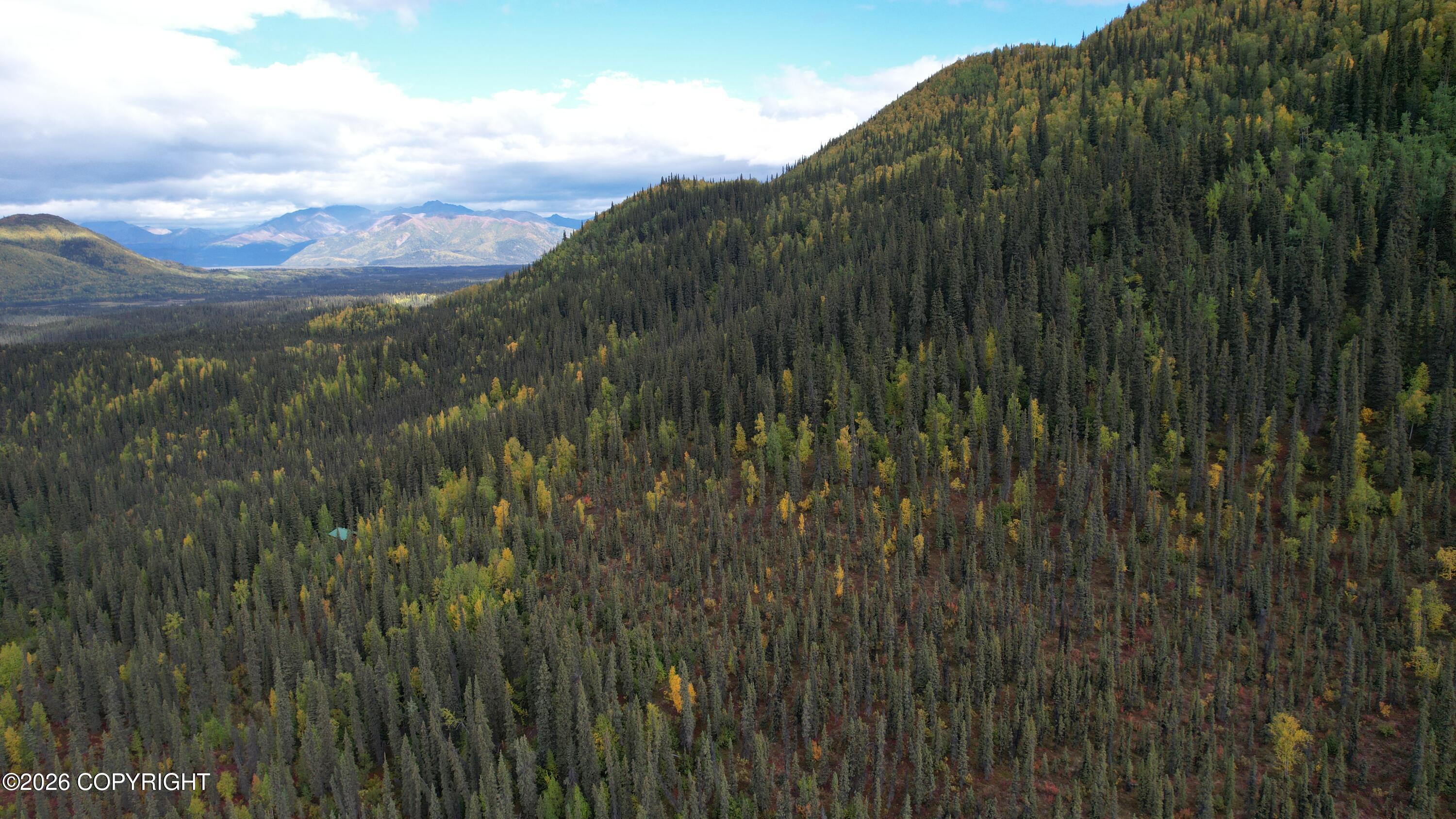 0341 Plus Trail Only Suslositna Creek Trail Property Photo 69