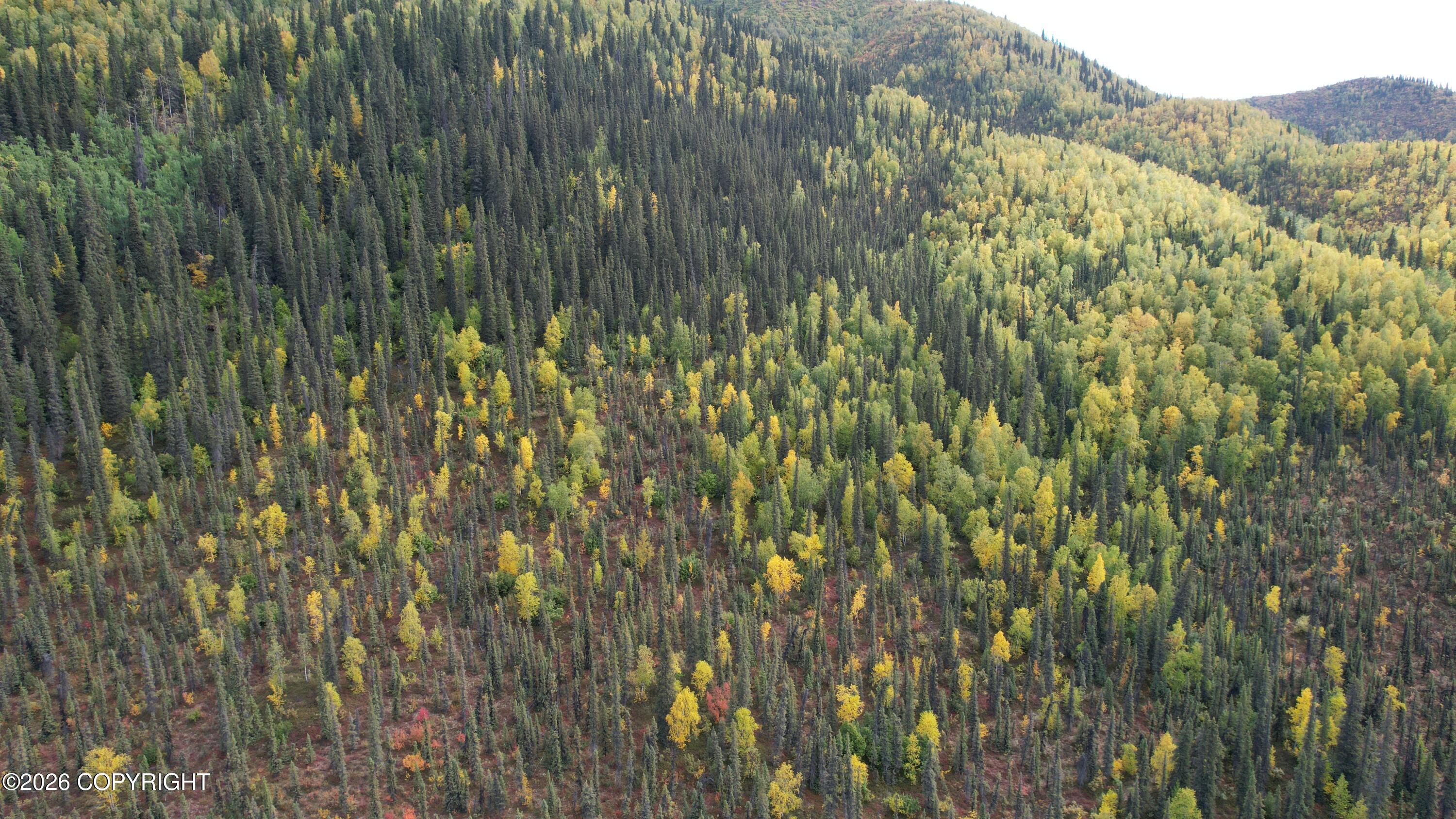 0341 Plus Trail Only Suslositna Creek Trail Property Photo 70