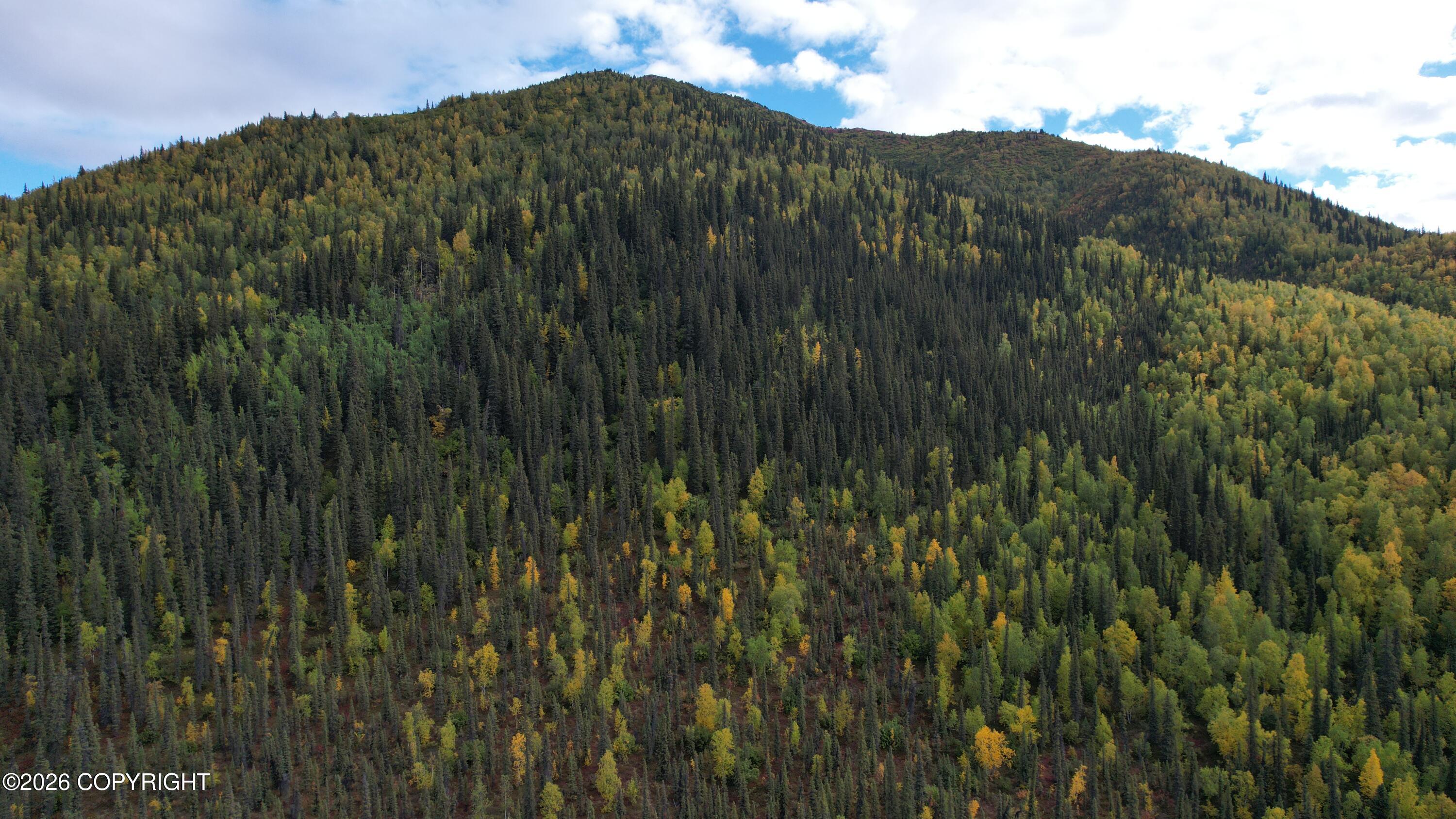 0341 Plus Trail Only Suslositna Creek Trail Property Photo 71