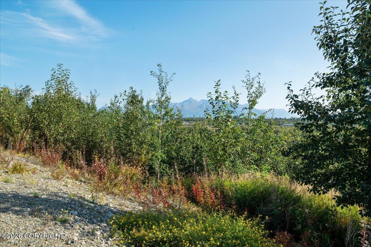 2525 N Larkspur Hill Circle Property Photo 15