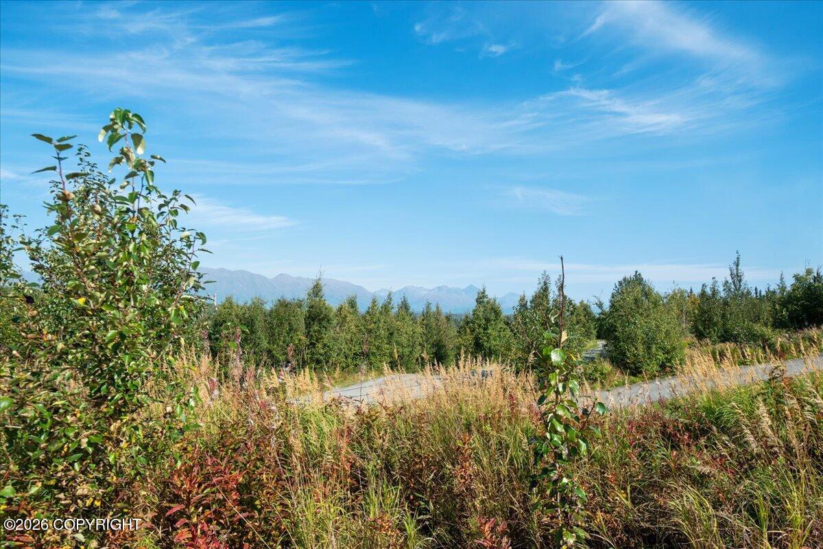 2525 N Larkspur Hill Circle Property Photo 18