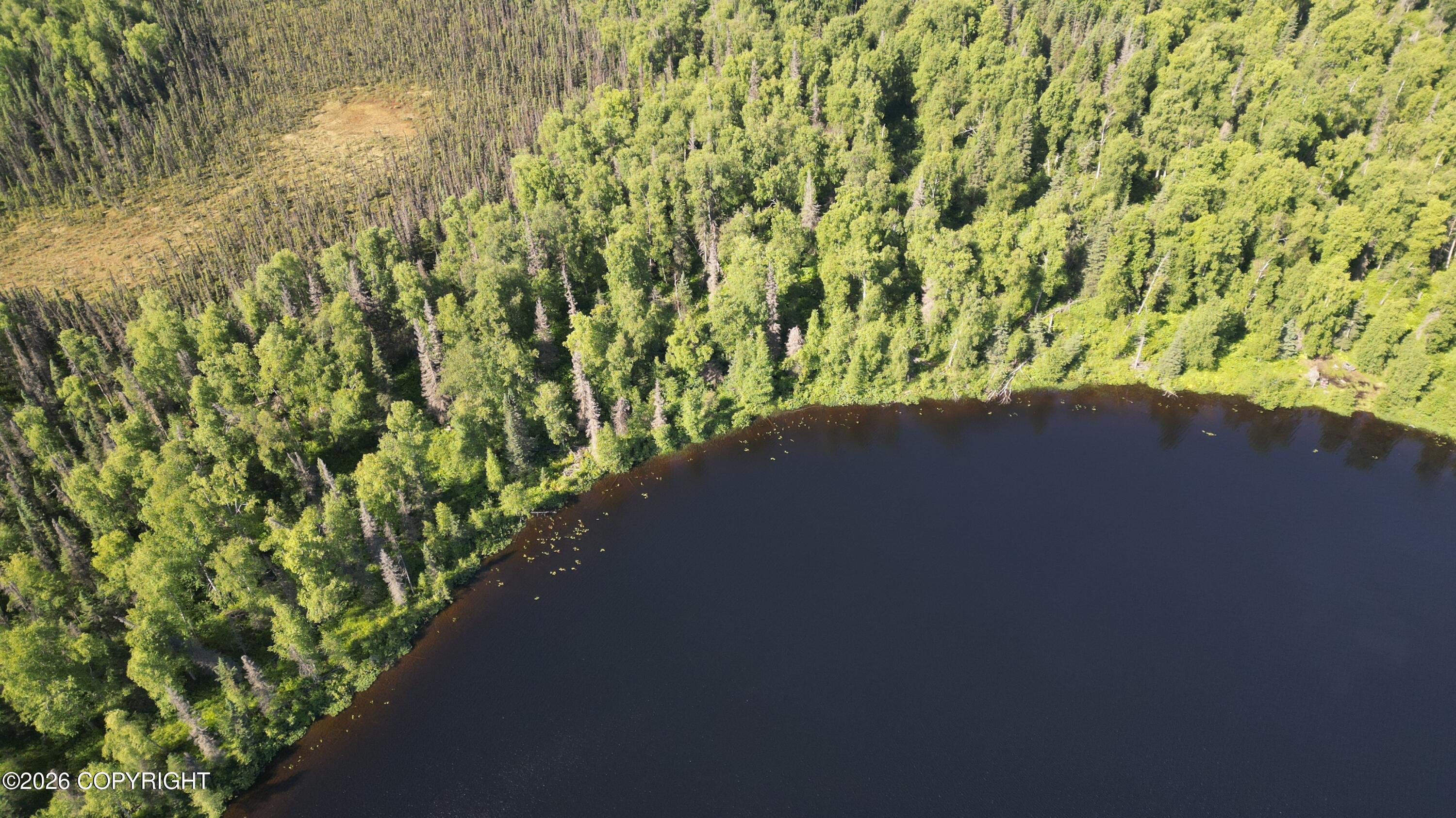 Tr E East Butterfly Lake Property Photo 3